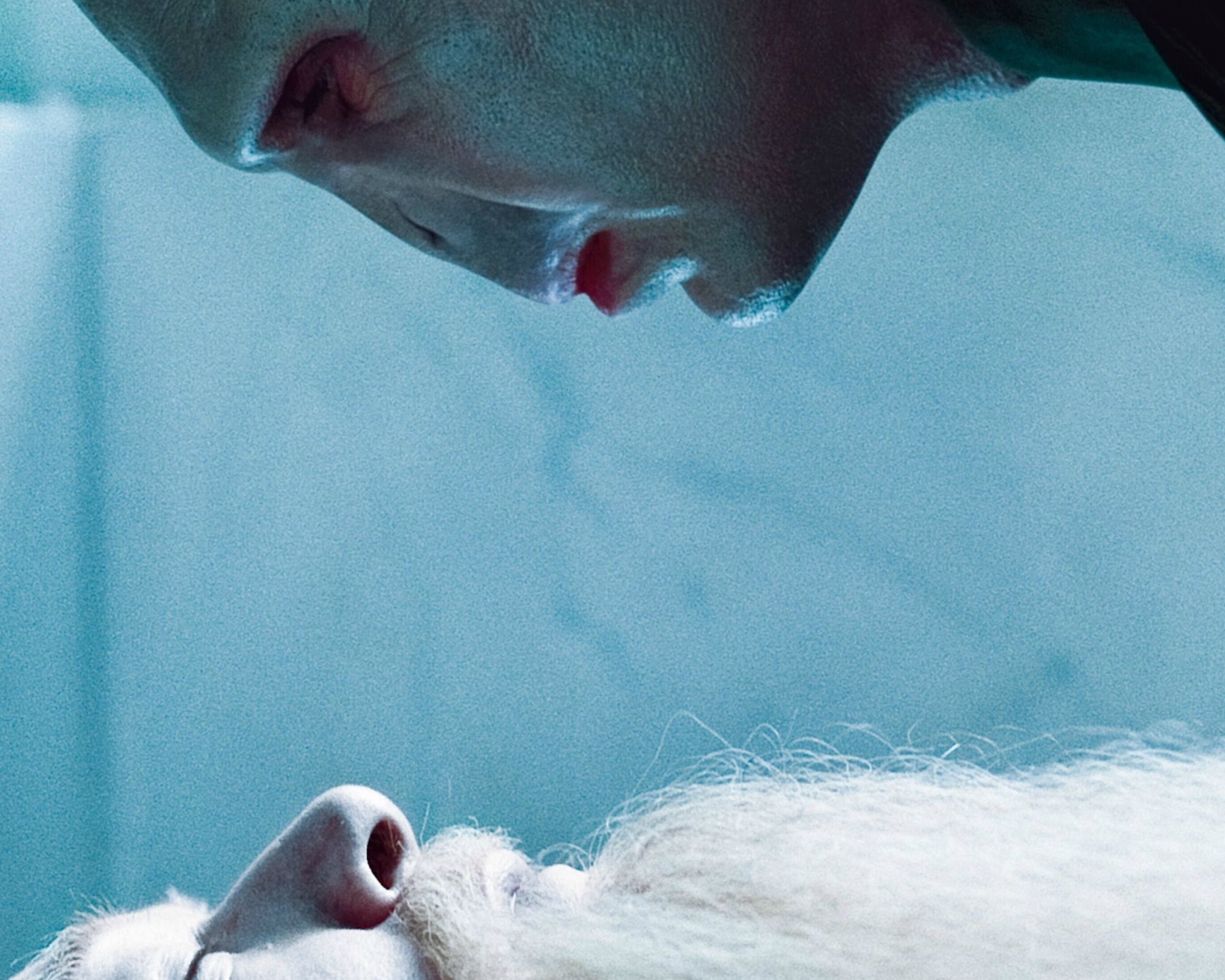 albus dumbledore, movie, harry potter and the deathly hallows: part 1, lord voldemort, harry potter