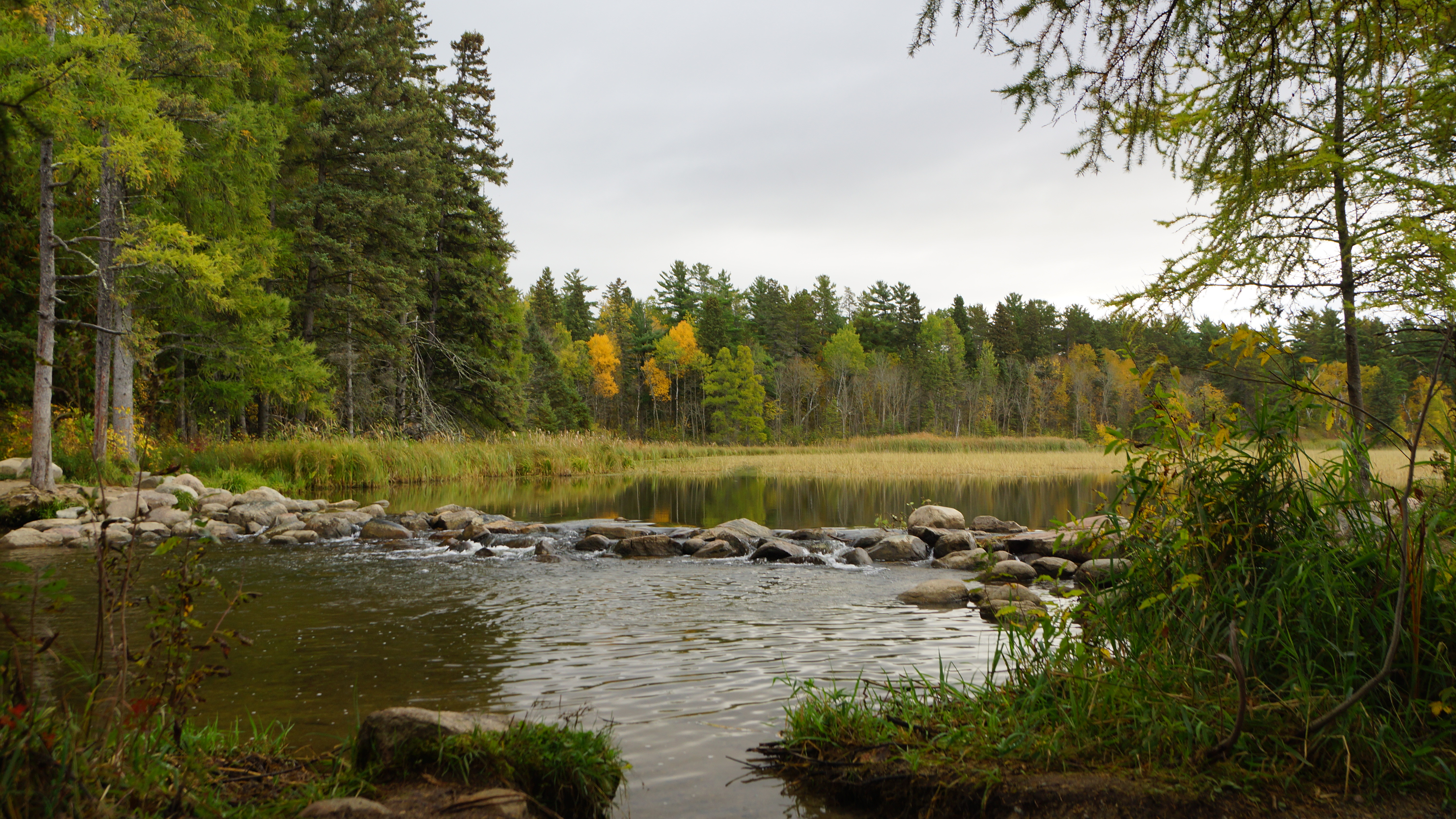Laden Sie das Stein, Ein Stein, Natur, See, Bäume, Wald, Herbst-Bild kostenlos auf Ihren PC-Desktop herunter
