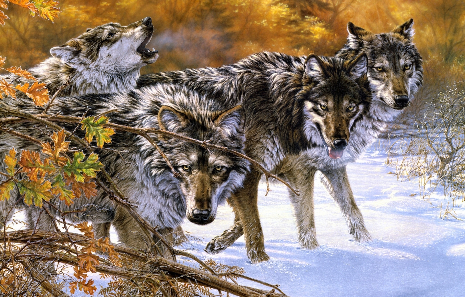 Download mobile wallpaper Snow, Animals, Wolfs, Pictures for free.