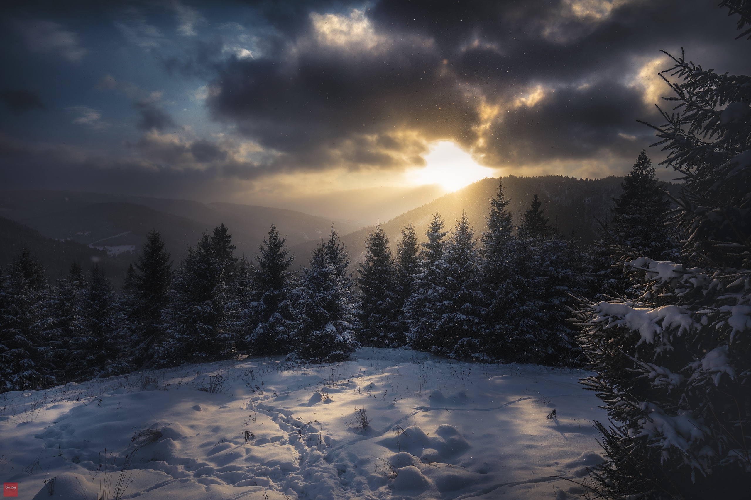 earth, winter, carpathian mountains, cloud, mountain, nature, snow, spruce, sunlight HD wallpaper