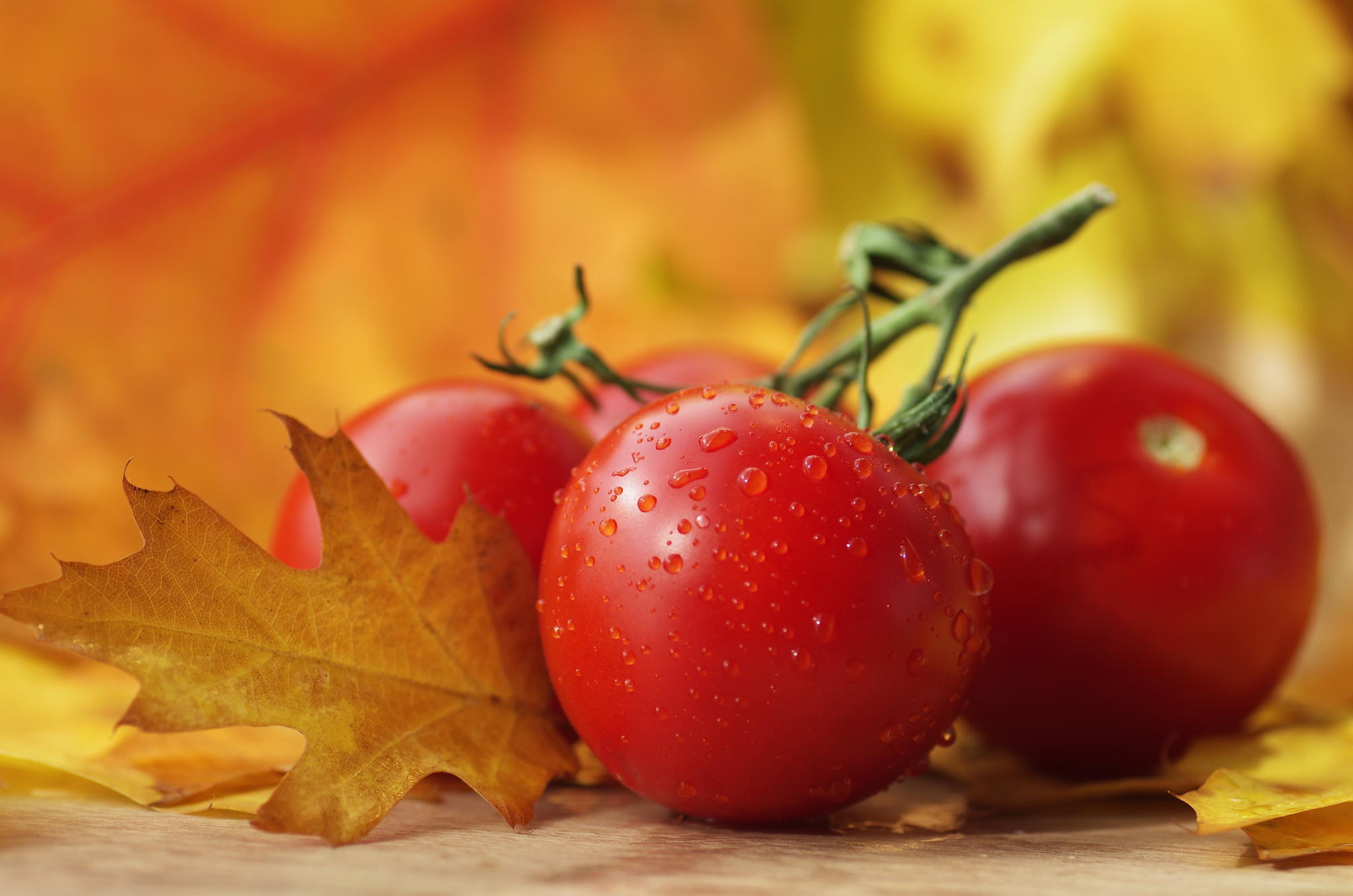 vegetables, drops, food, tomatoes Free Stock Photo