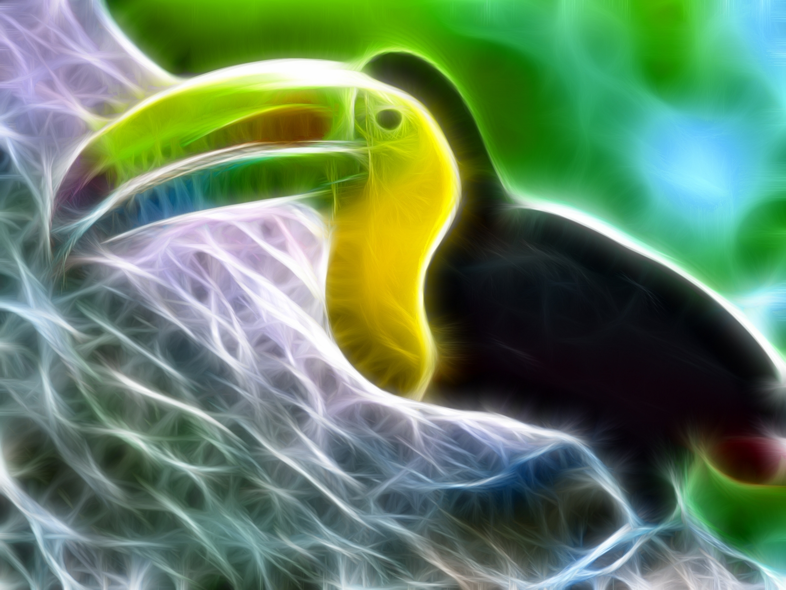 New Lock Screen Wallpapers animal, toucan, birds