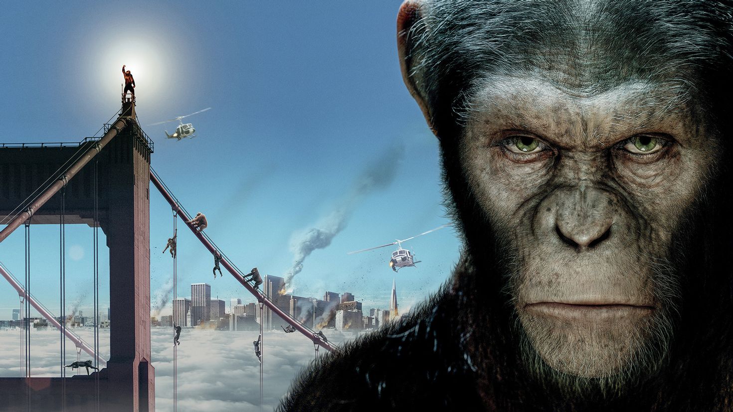 Нашествие обезьян. Планета обезьян 2011. Восстание планеты обезьян 2011.