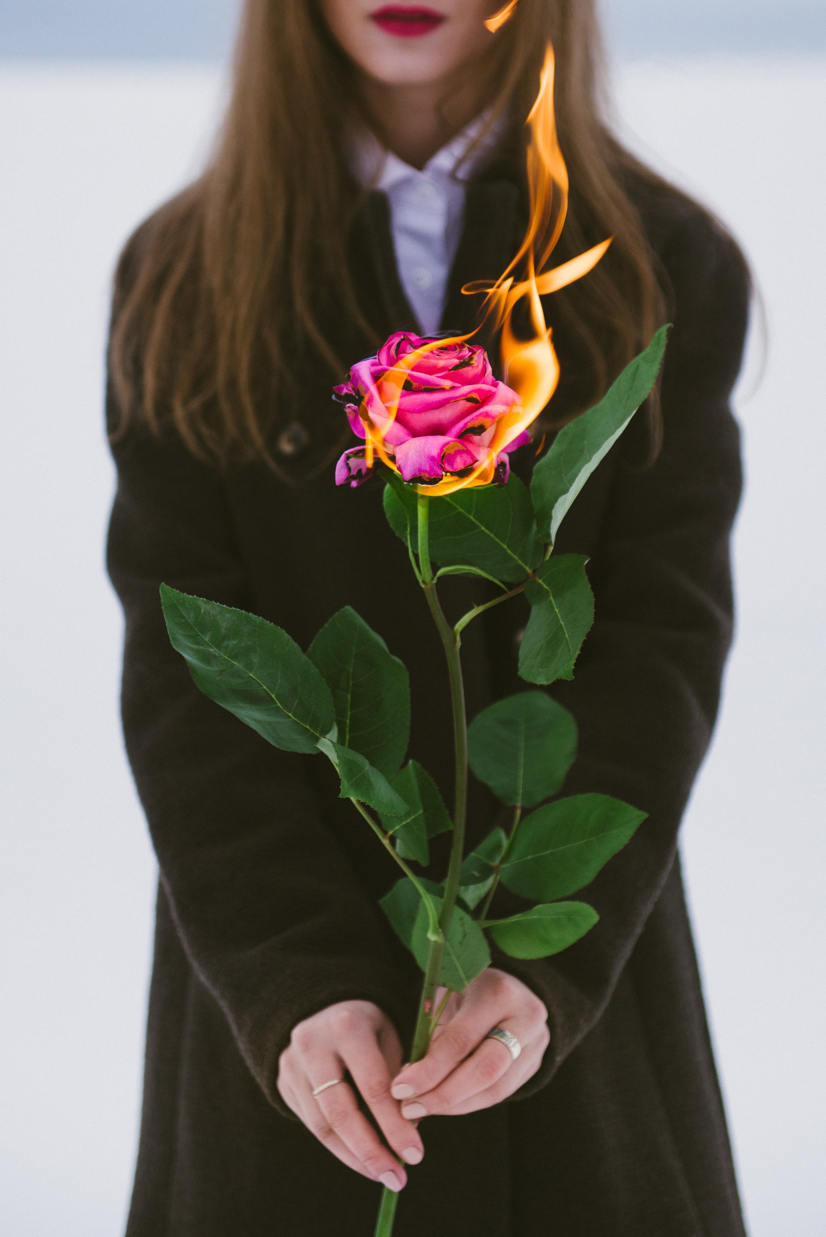 Free download wallpaper Miscellanea, Flower, Miscellaneous, Rose, Hands, Flame, Rose Flower, Fire, Girl on your PC desktop