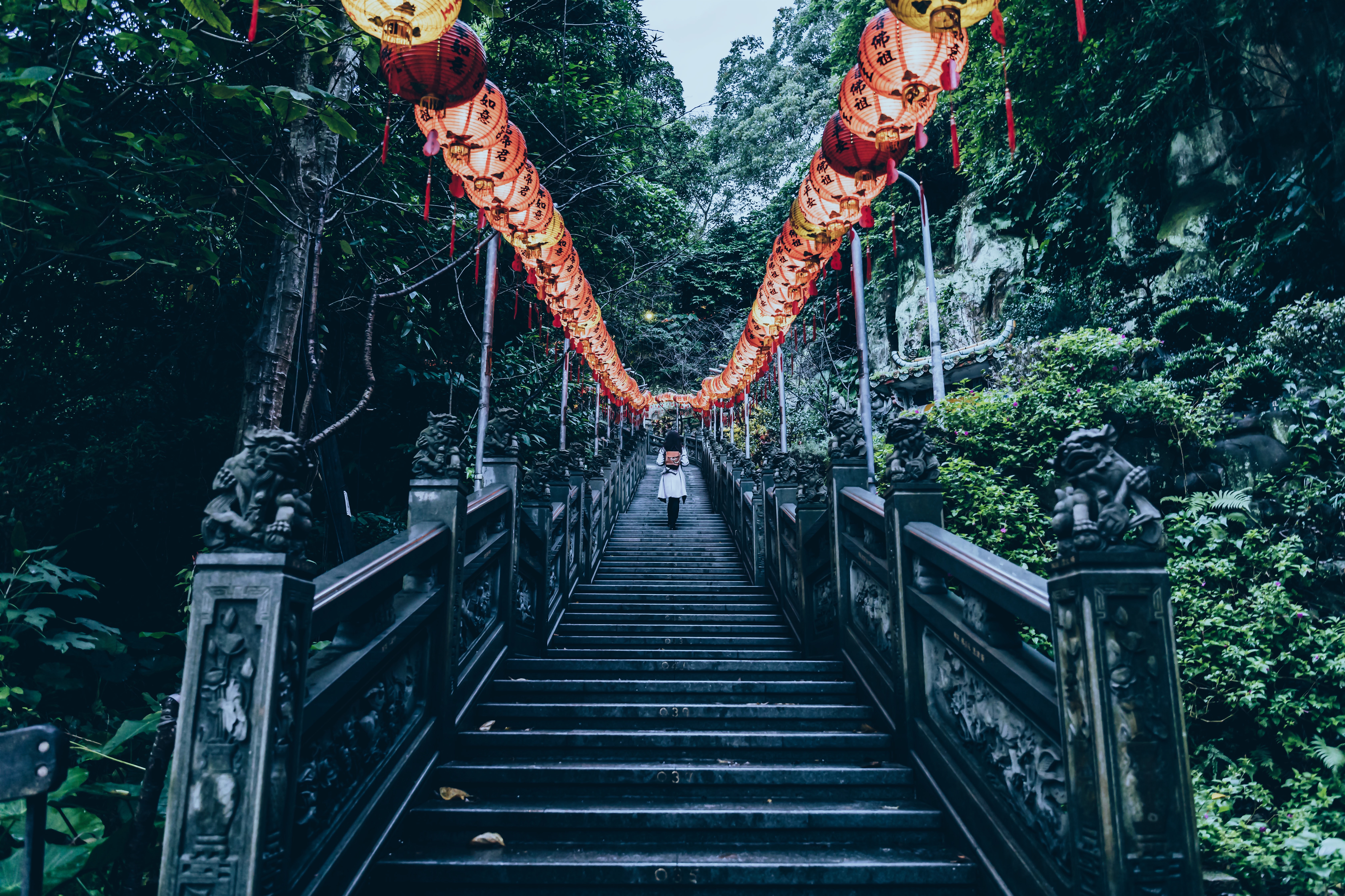 HD wallpaper ladder, nature, trees, stairs, climb, lift, chinese lanterns