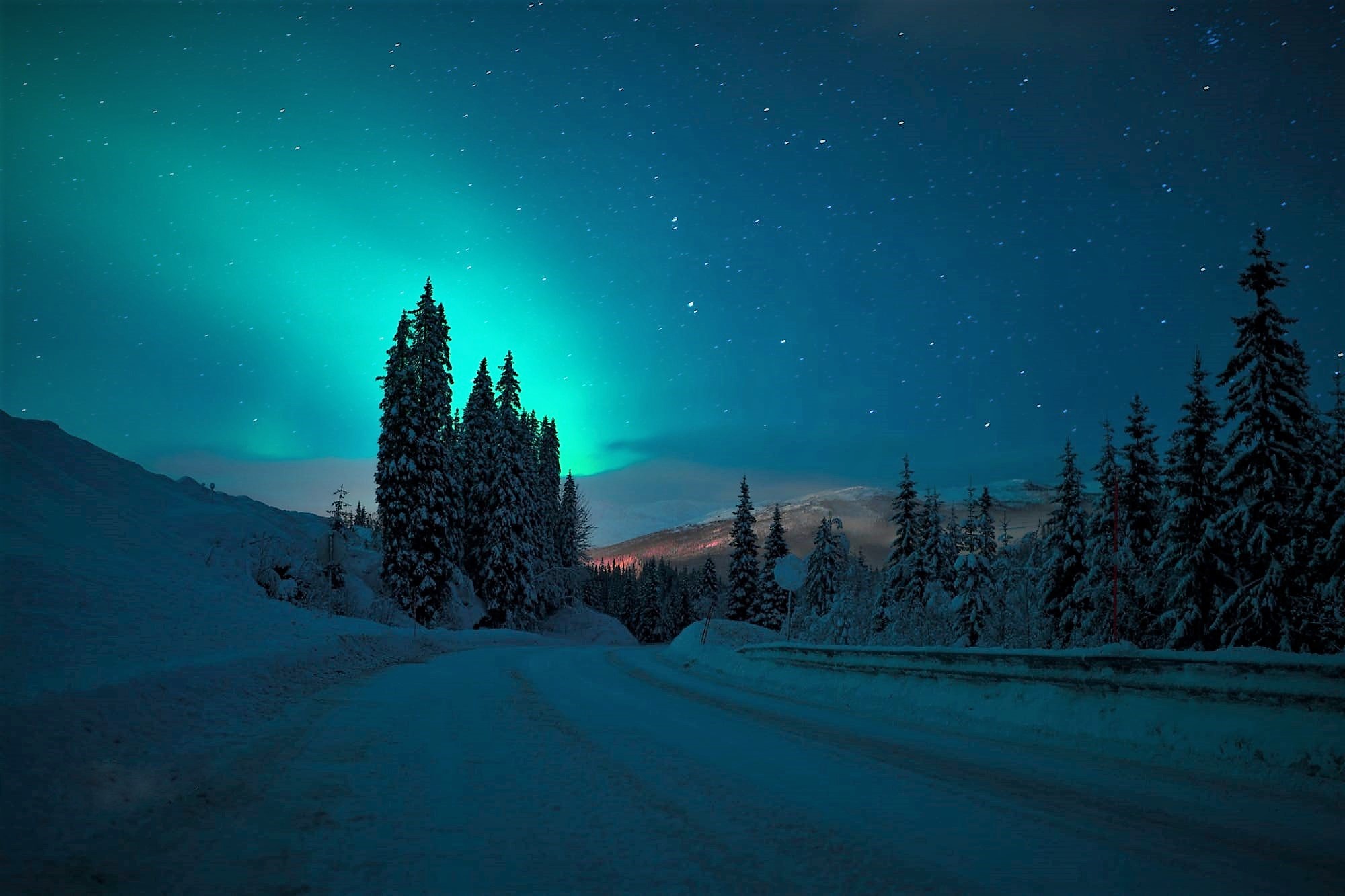 Download mobile wallpaper Winter, Sky, Night, Snow, Road, Tree, Earth, Aurora Borealis for free.