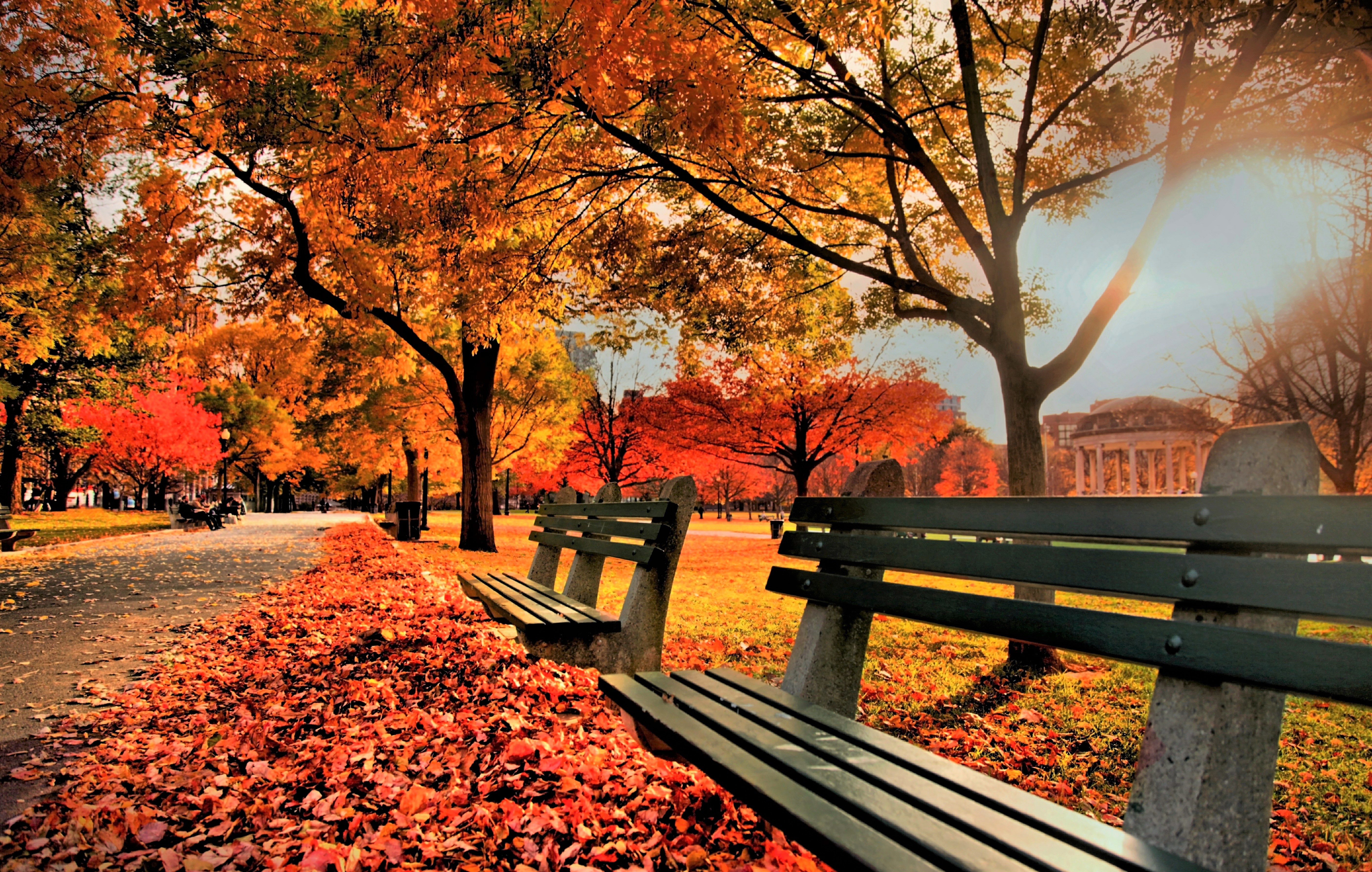 Осенний парк картинки