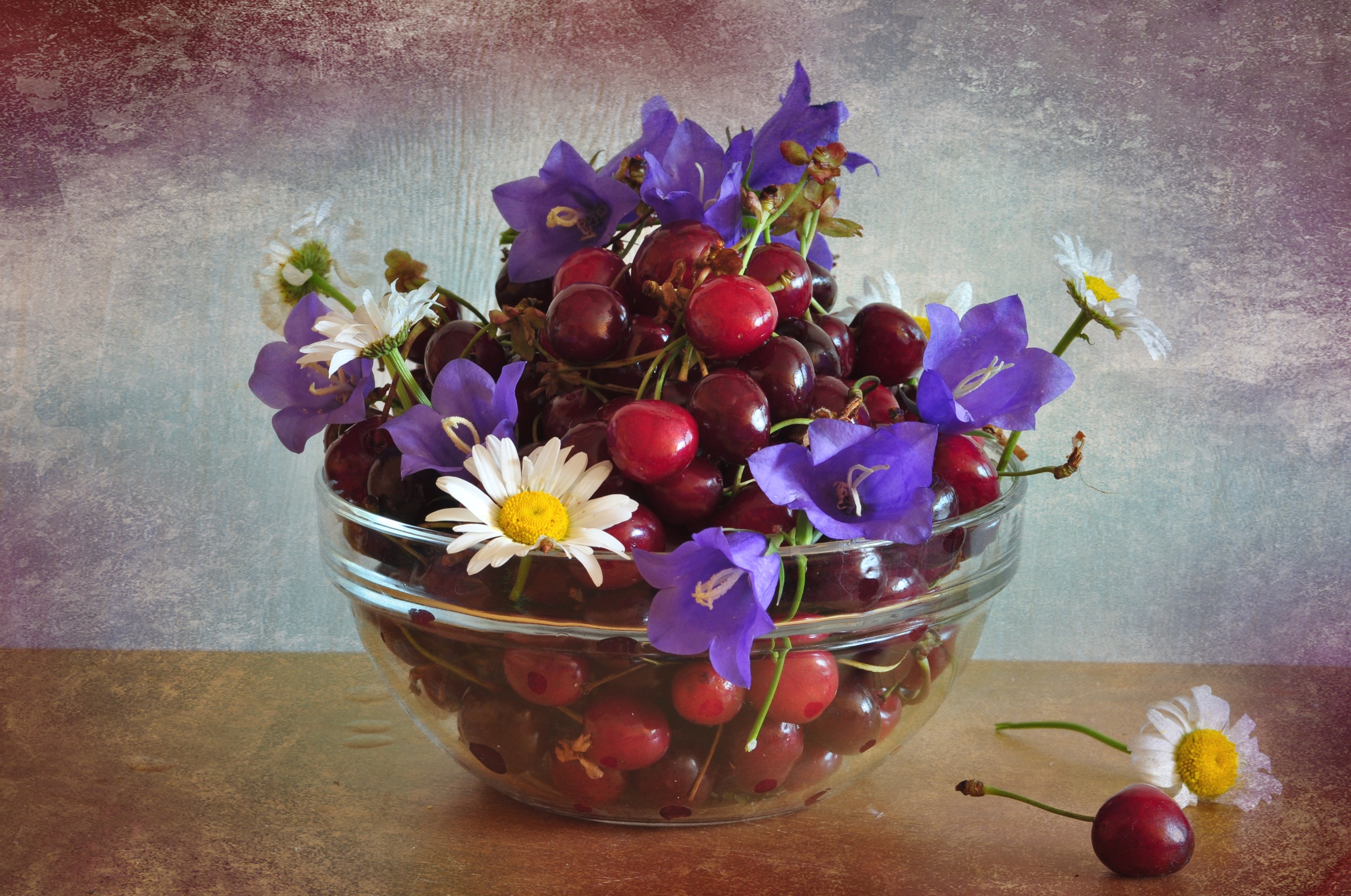 Download mobile wallpaper Fruits, Food, Cherry, Still Life, Flower, Fruit for free.