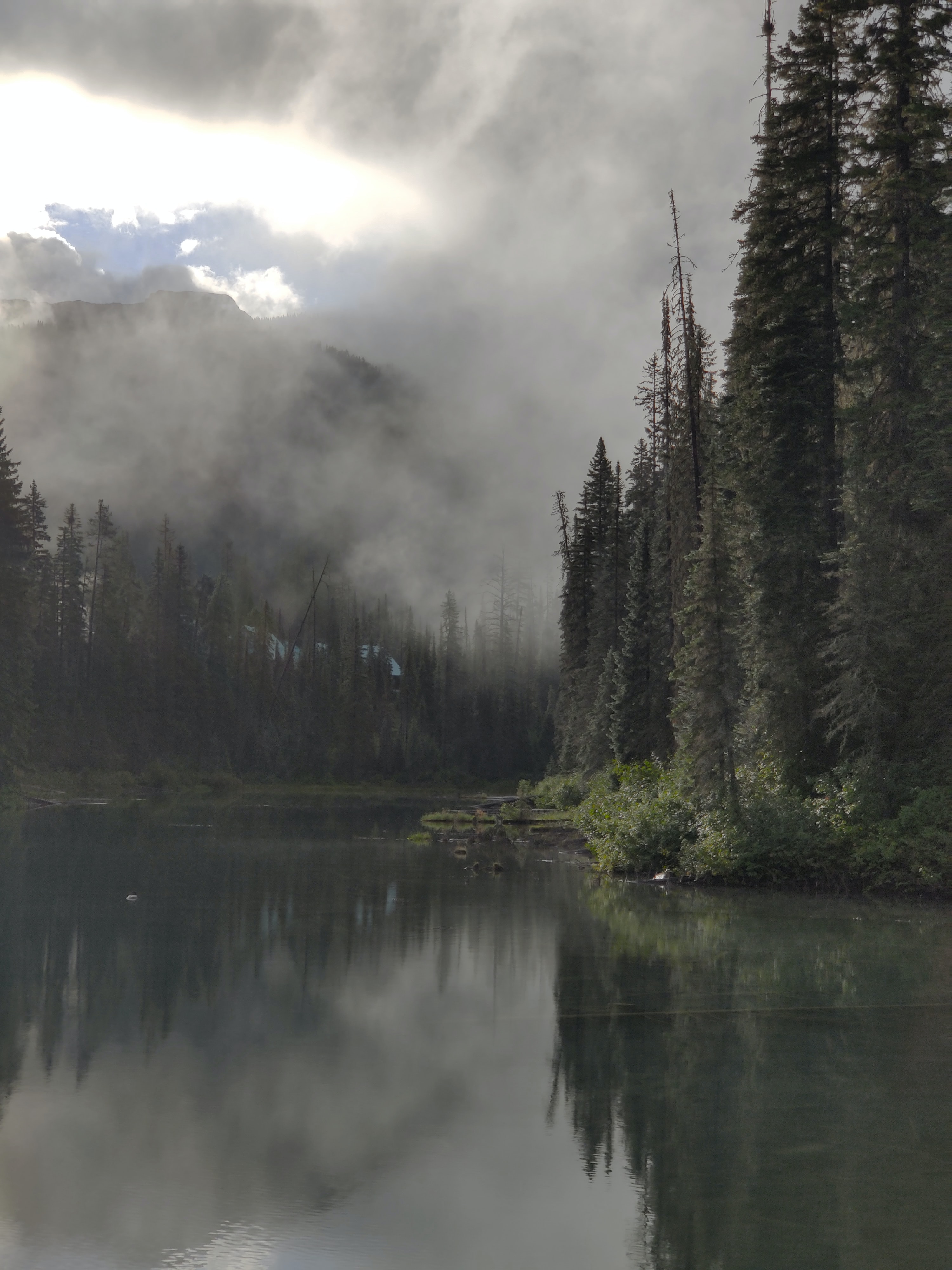Скачать обои бесплатно Туман, Деревья, Лес, Река, Природа, Мрак картинка на рабочий стол ПК