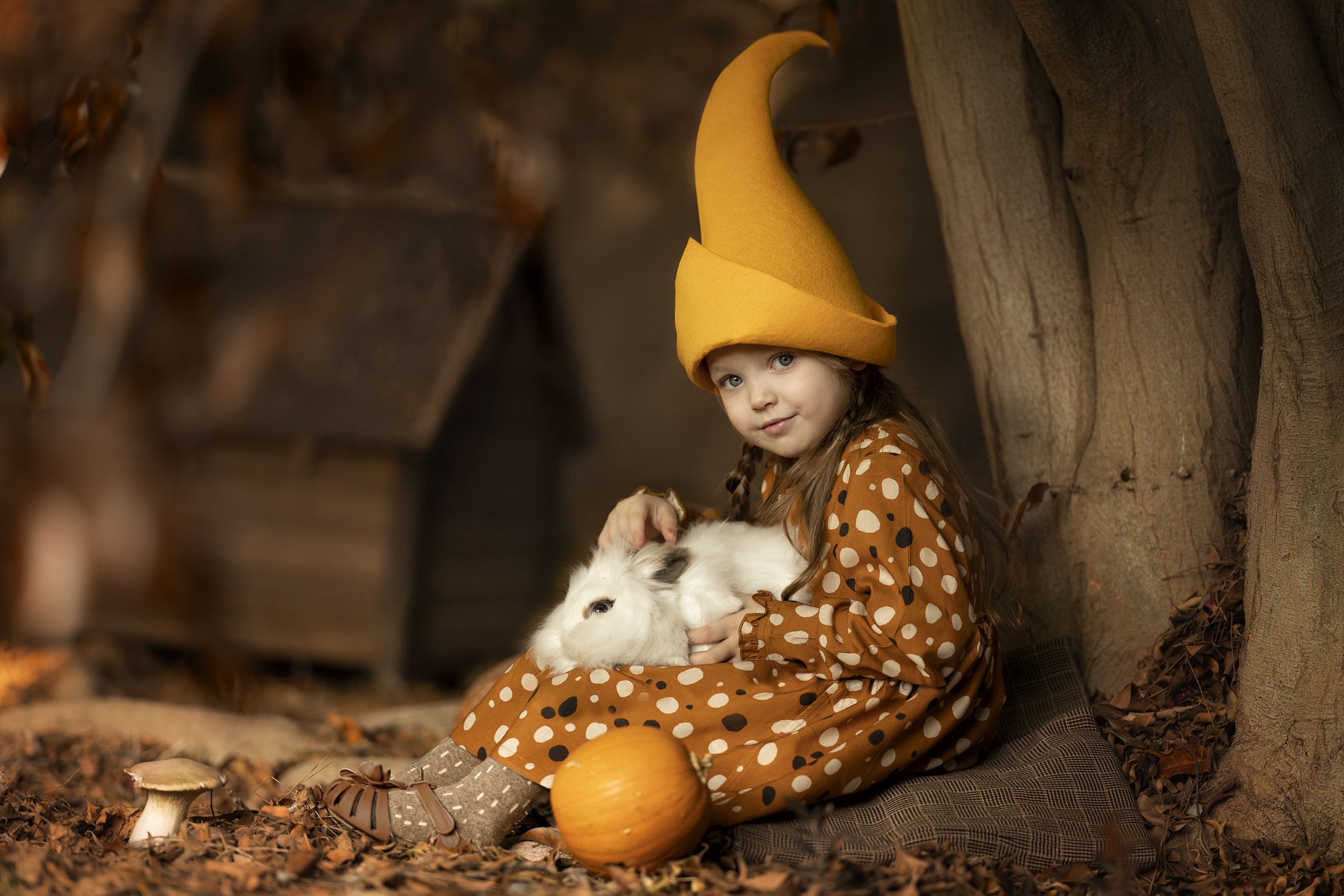Download mobile wallpaper Pumpkin, Cap, Child, Rabbit, Trunk, Photography for free.