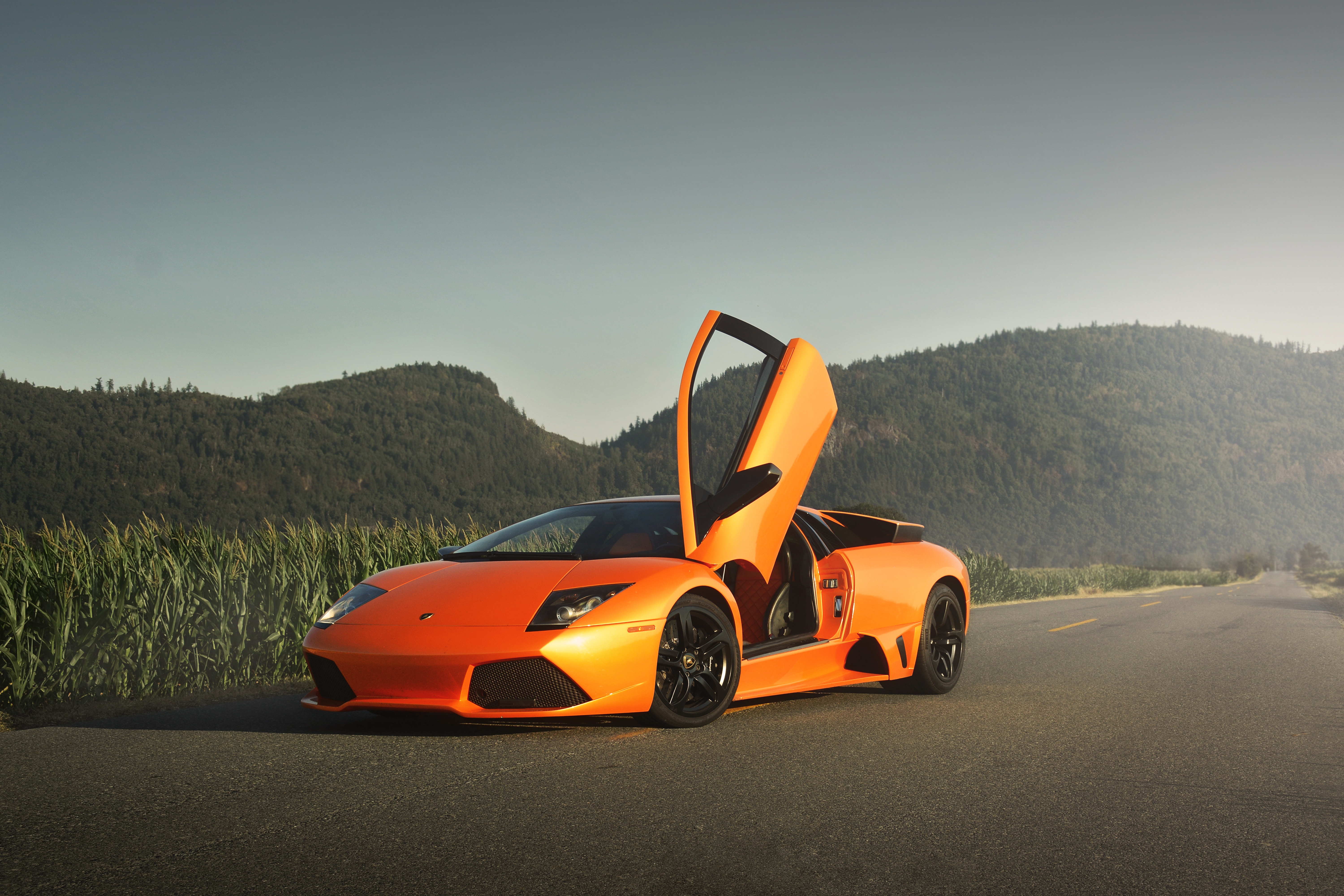 Lamborghini Murcielago HD