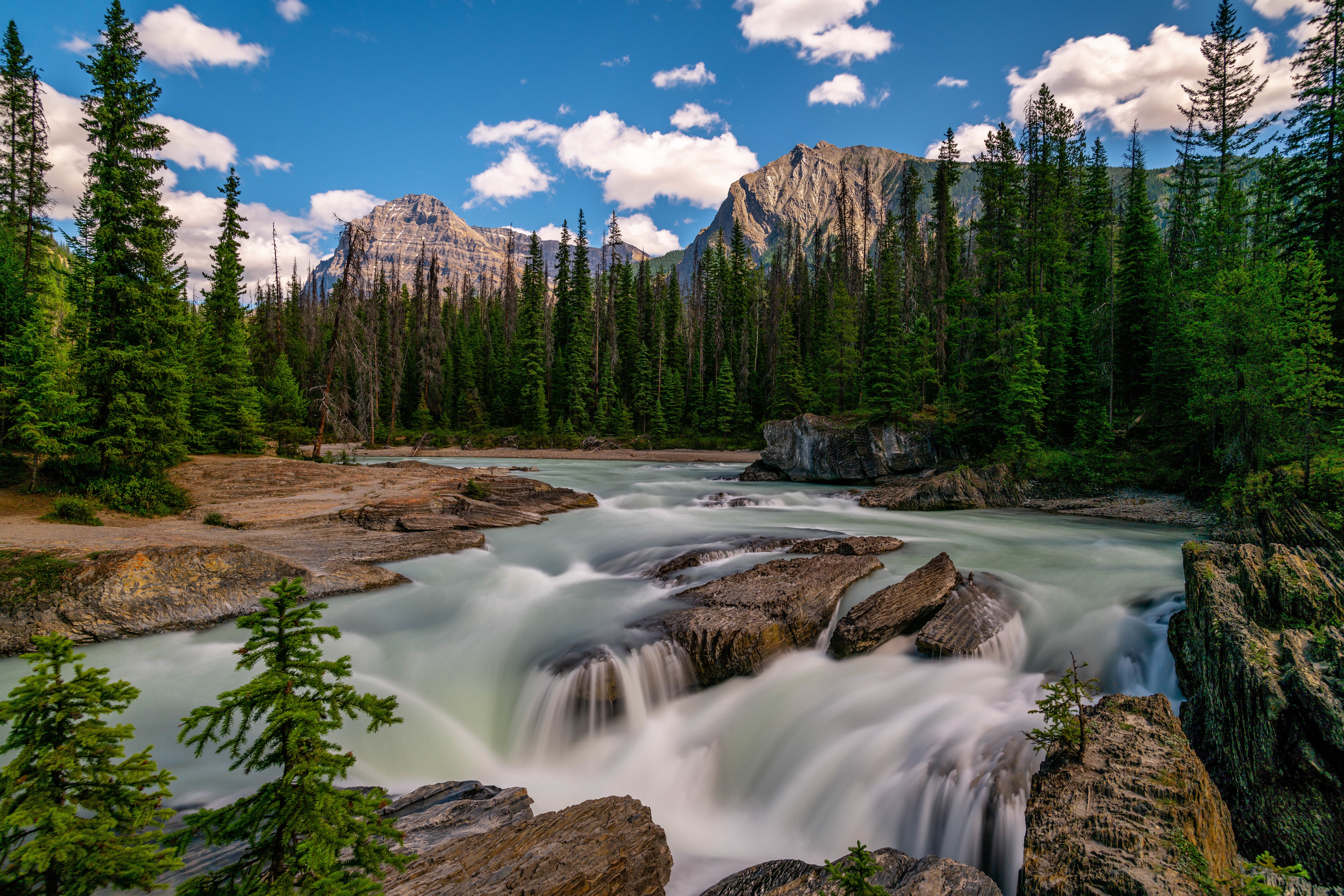 HD wallpaper earth, river, british columbia, canada, forest, mountain, waterfall, yoho national park