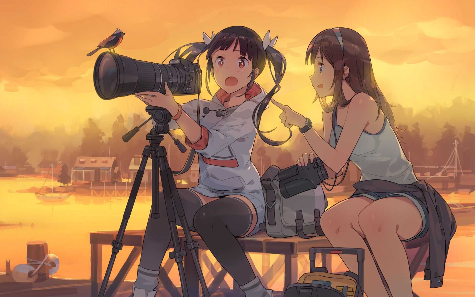 photographer, anime, original, camera, sunset, water Full HD