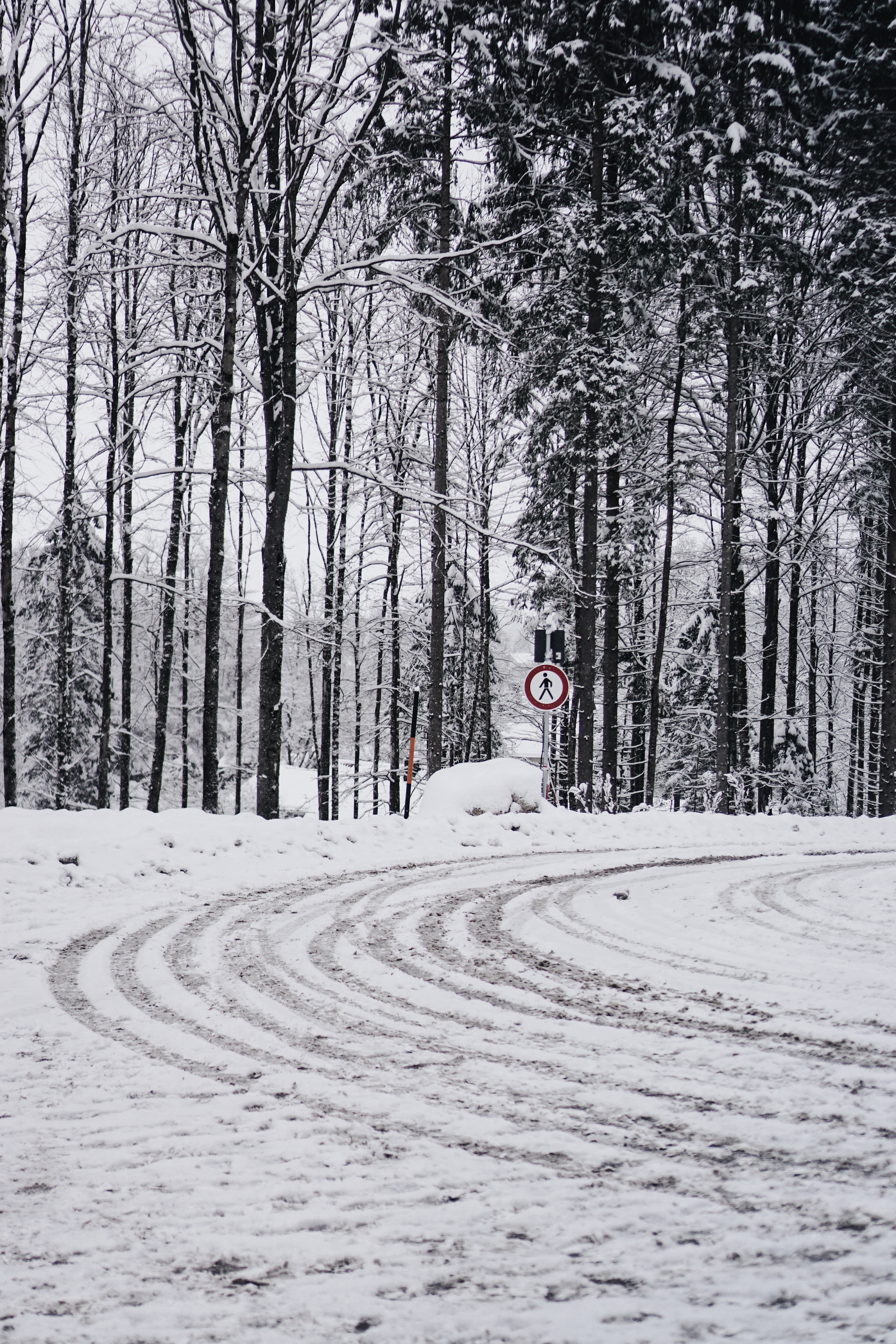 winter, nature, trees, snow, road, turn