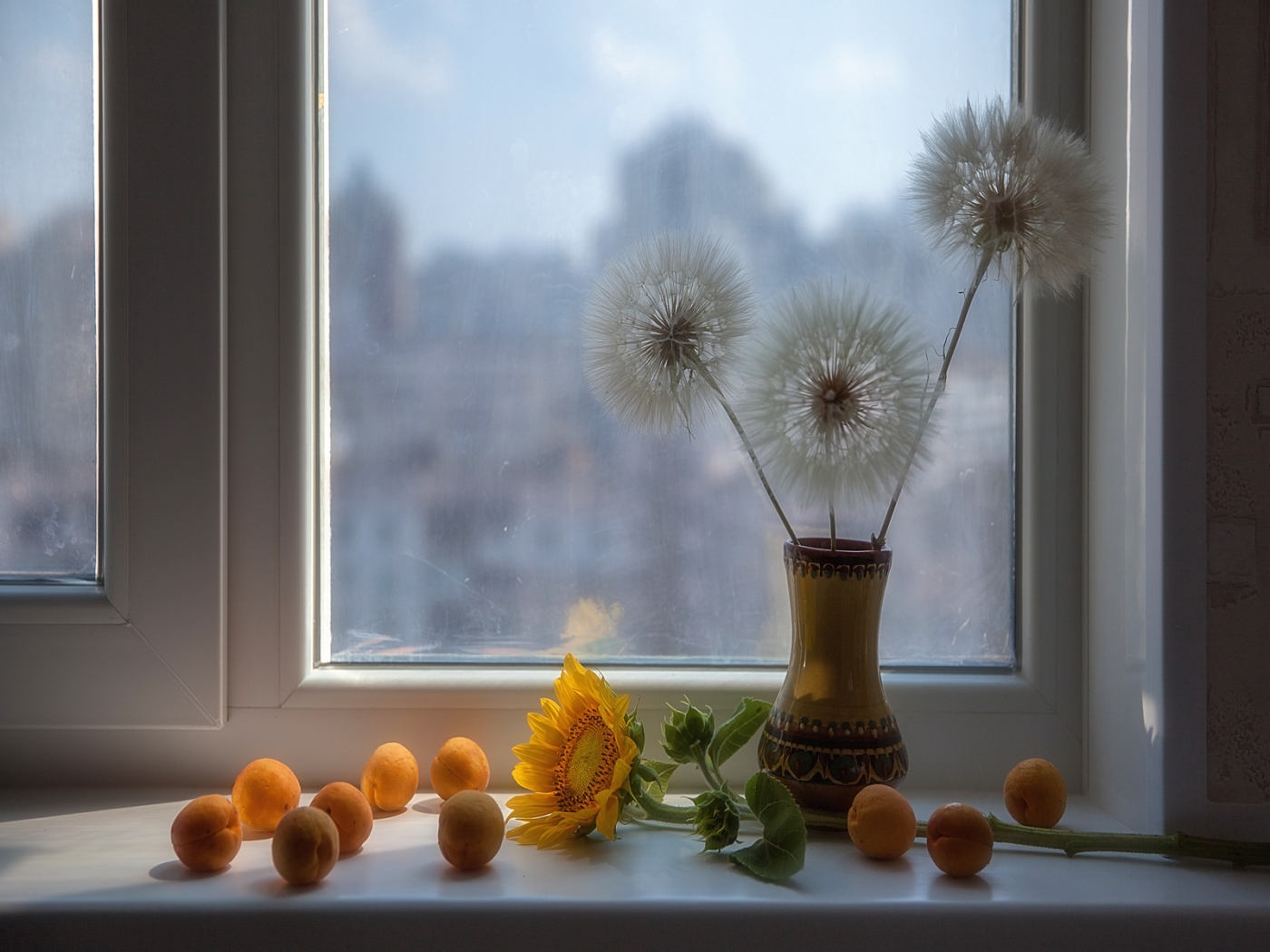 Download mobile wallpaper Plants, Dandelions for free.
