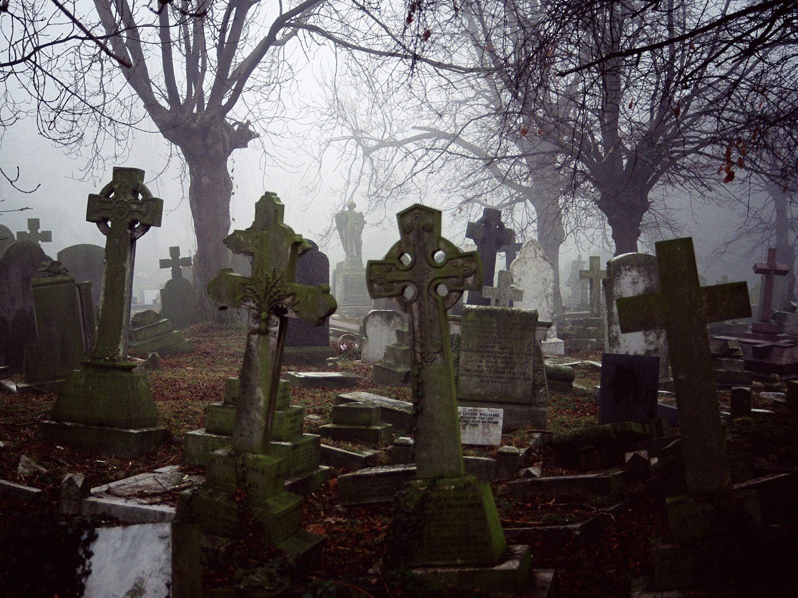 Кладбище Шенкилл (Лурган , Ирландия