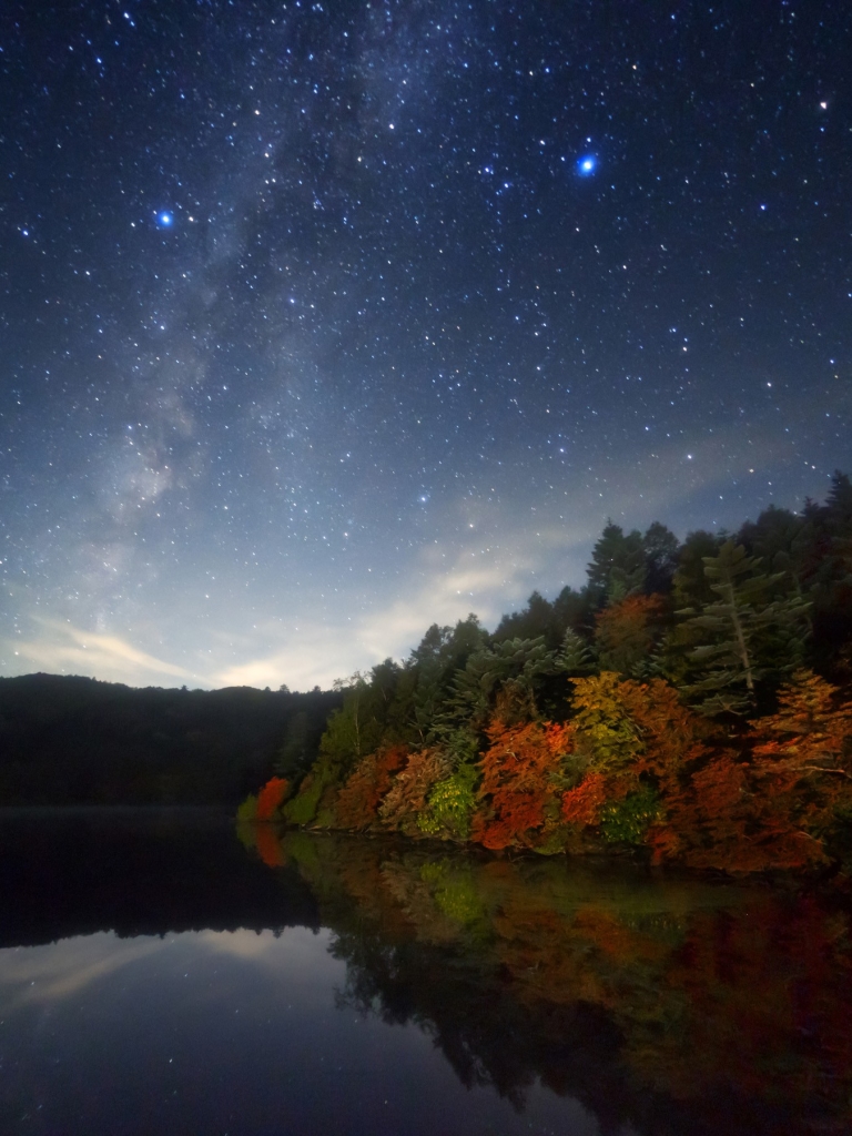 Download mobile wallpaper Stars, Night, Lake, Forest, Starry Sky, Fall, Earth for free.