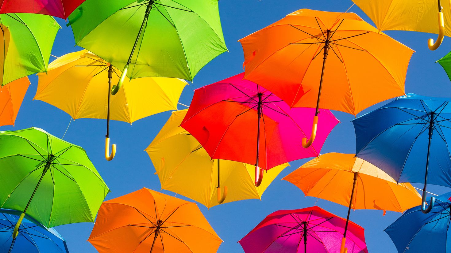 Обои зонтика. Разноцветные зонтики. Зонтики яркие. Красочный зонтик. Разные зонтики.