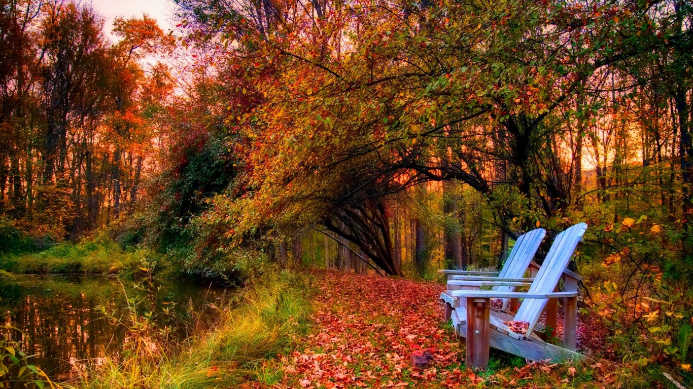 photography, fall, chair, forest