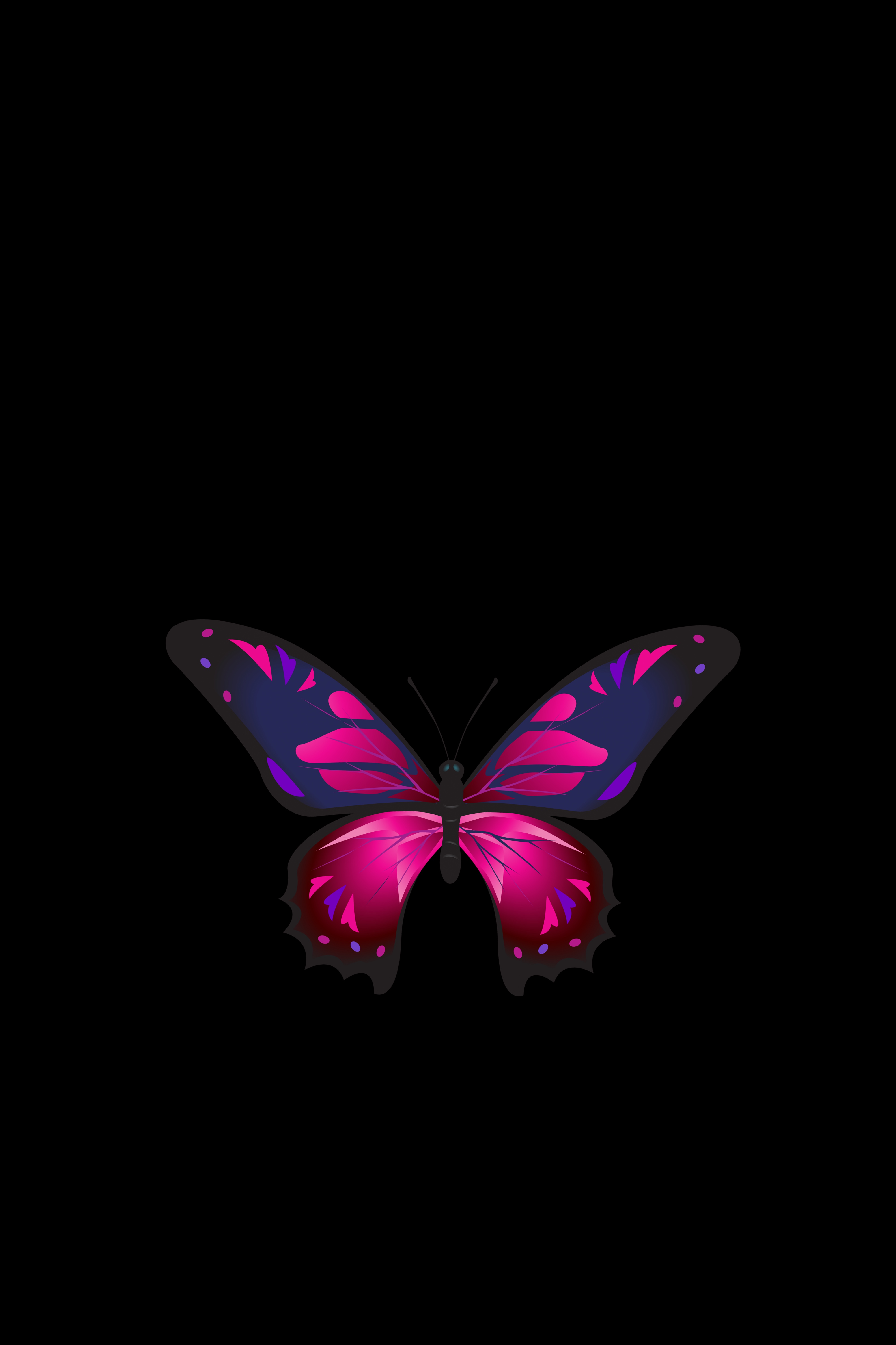 Download mobile wallpaper Wings, Patterns, Butterfly, Dark, Dark Background for free.