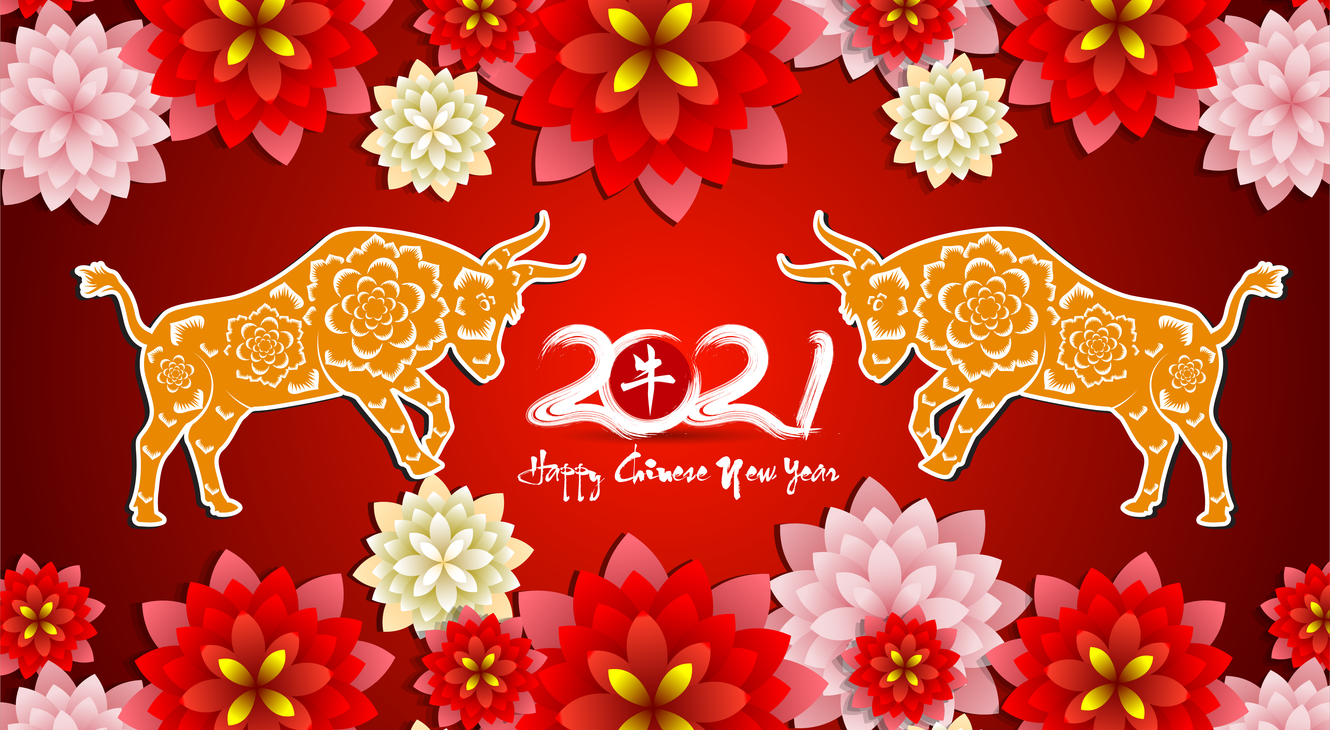 holiday, chinese new year, bull, flower, new year 2021 Full HD
