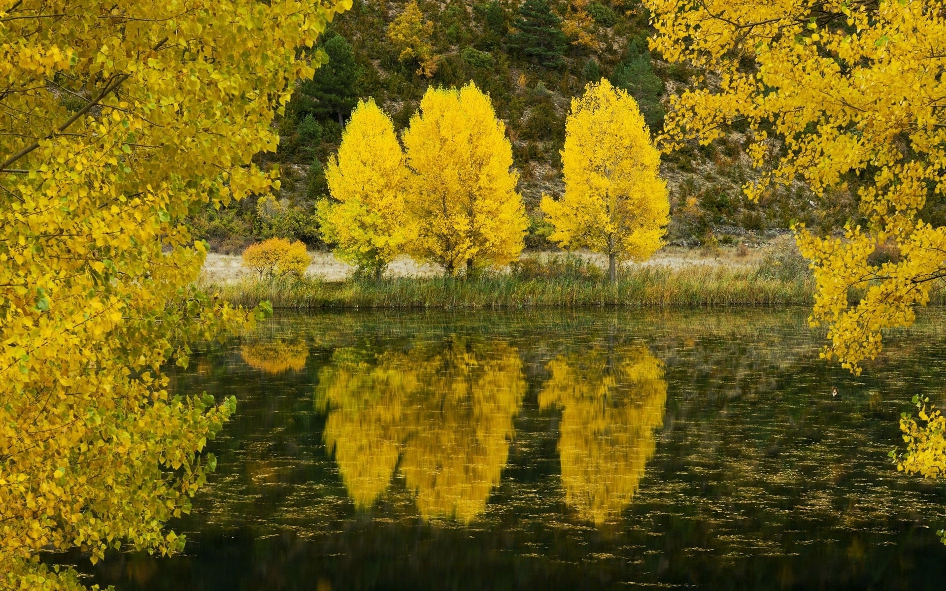 Download mobile wallpaper Landscape, Nature, Autumn for free.