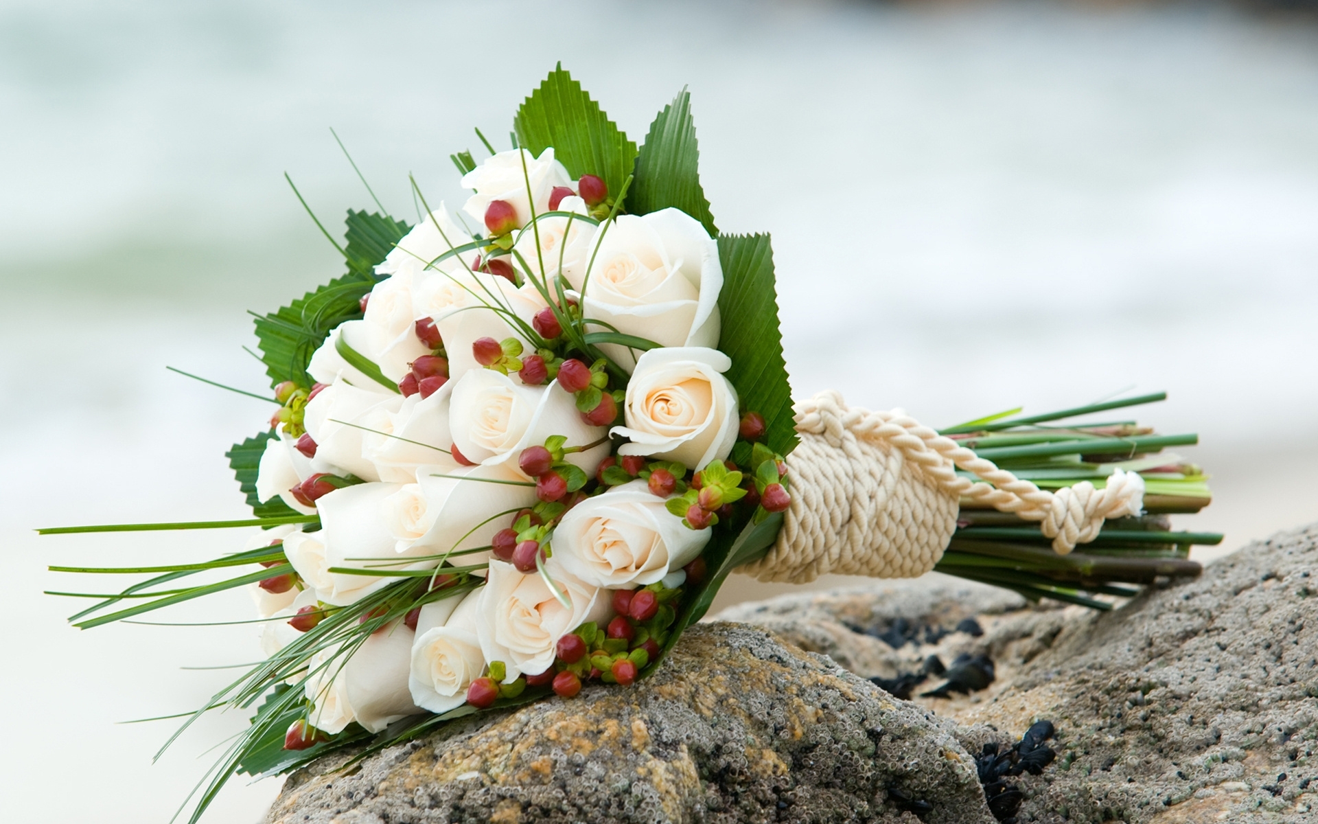 42690 baixar papel de parede bouquets, plantas, flores - protetores de tela e imagens gratuitamente