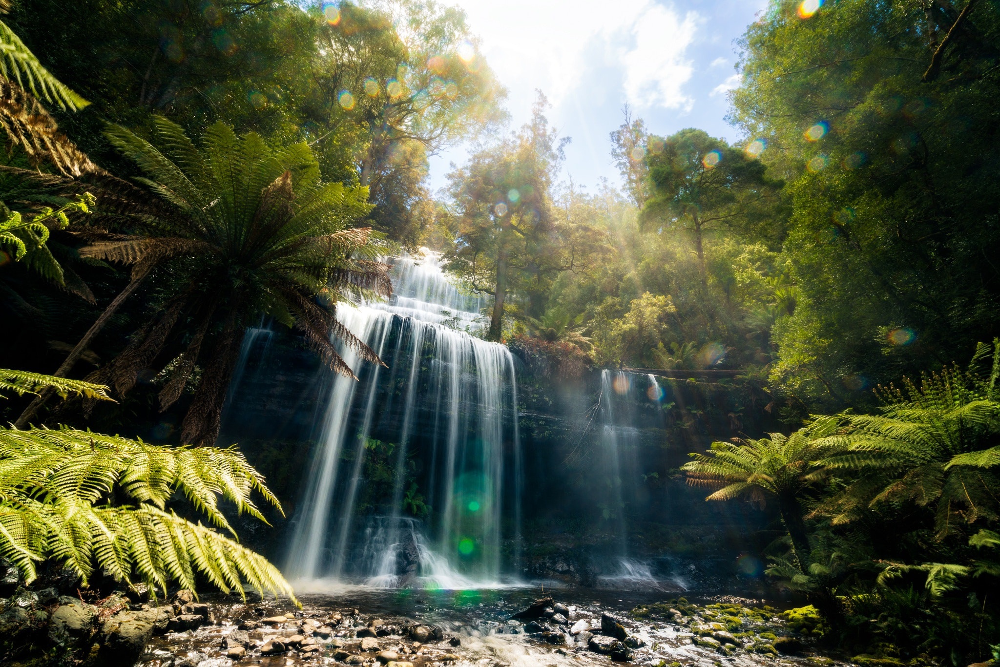 Водопады Тасмании