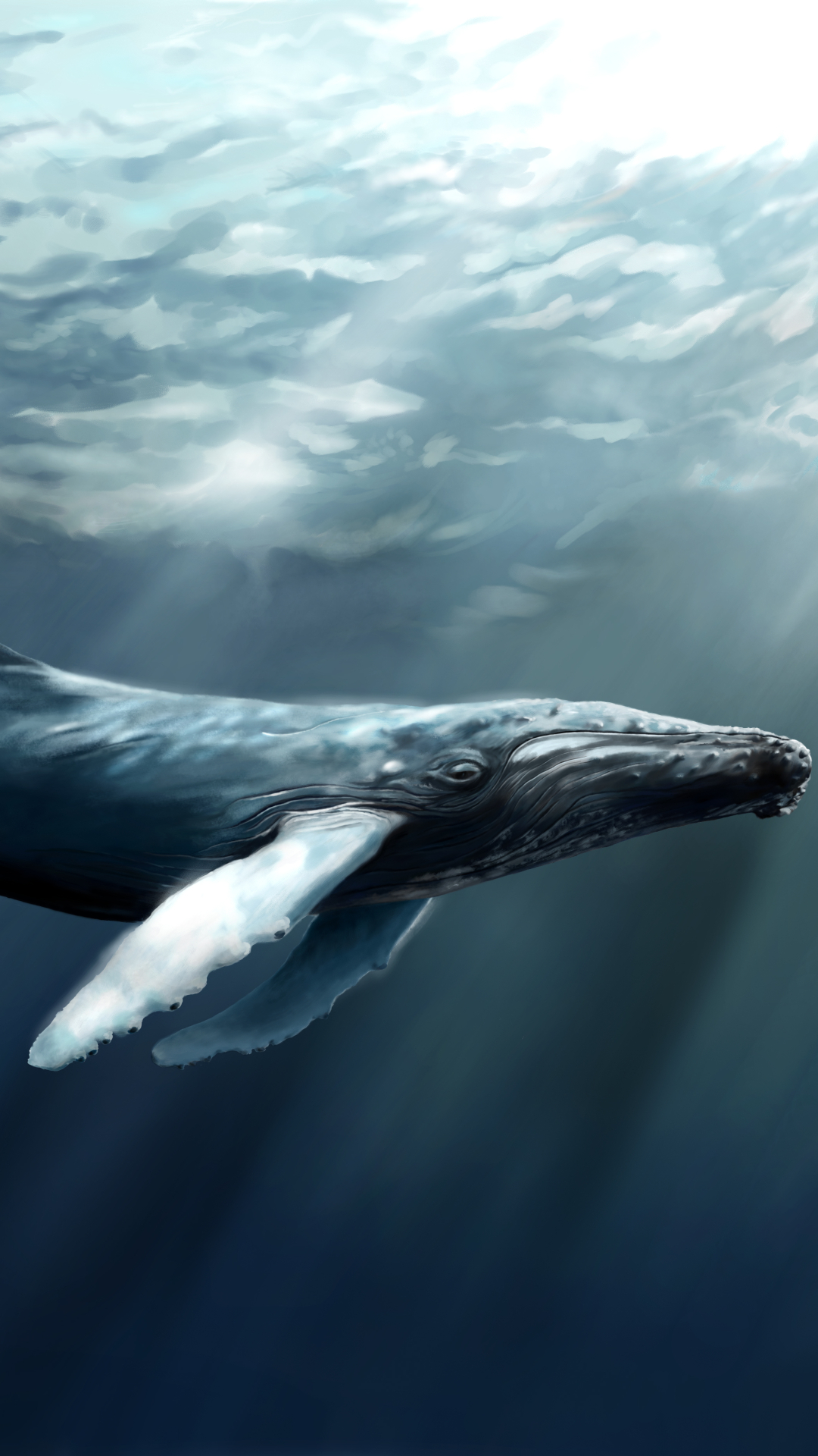 1336572 скачать обои кит, животные, горбатый кит - заставки и картинки бесплатно
