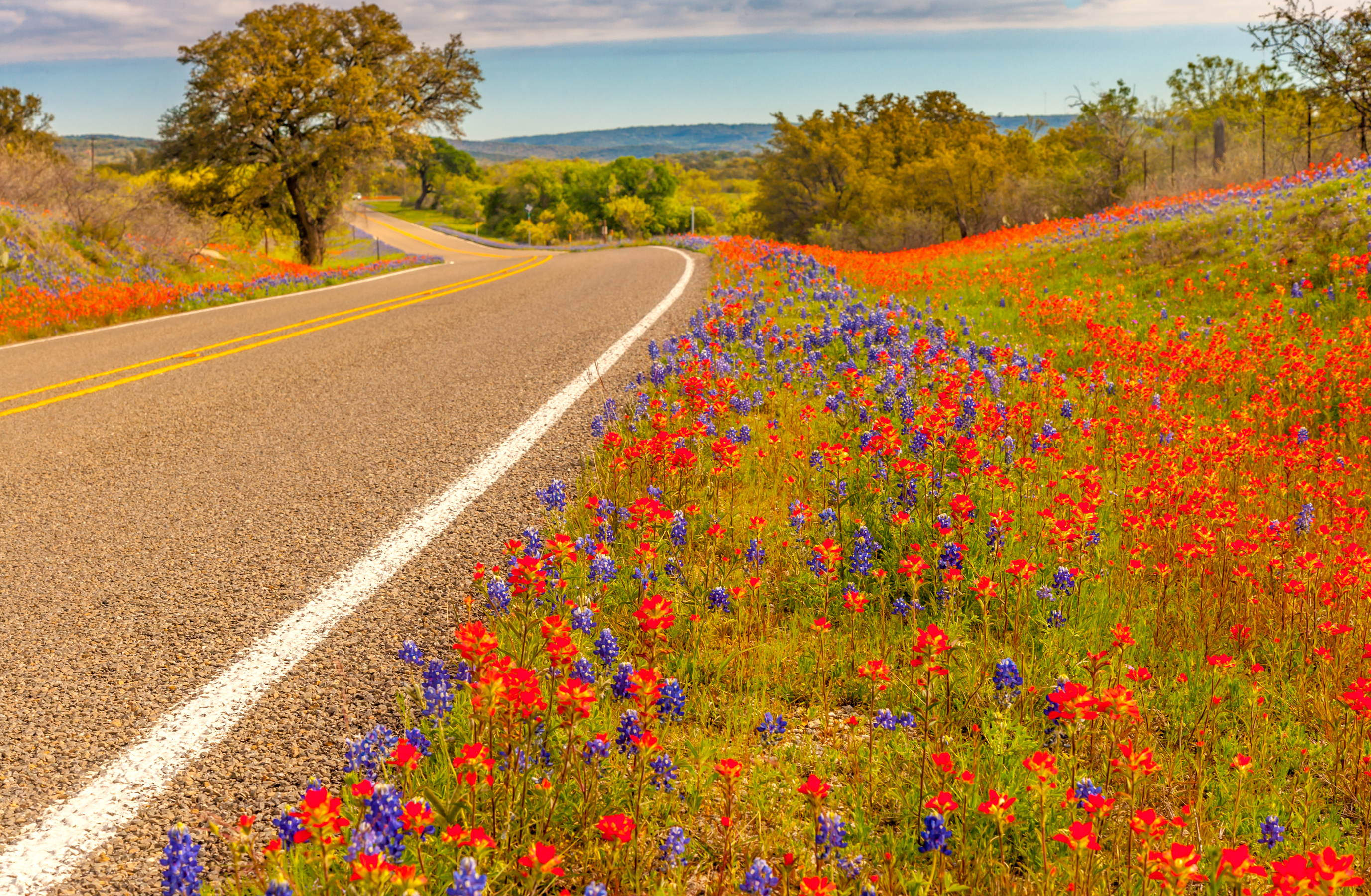 838152 descargar imagen texas, hecho por el hombre, carretera, flor, primavera: fondos de pantalla y protectores de pantalla gratis