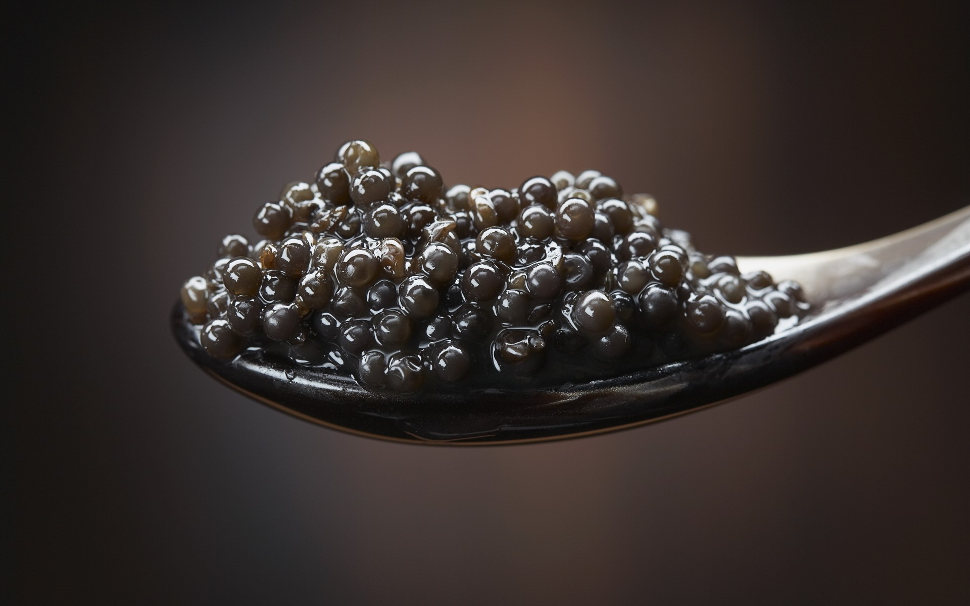 Mobile HD Wallpaper Caviar 