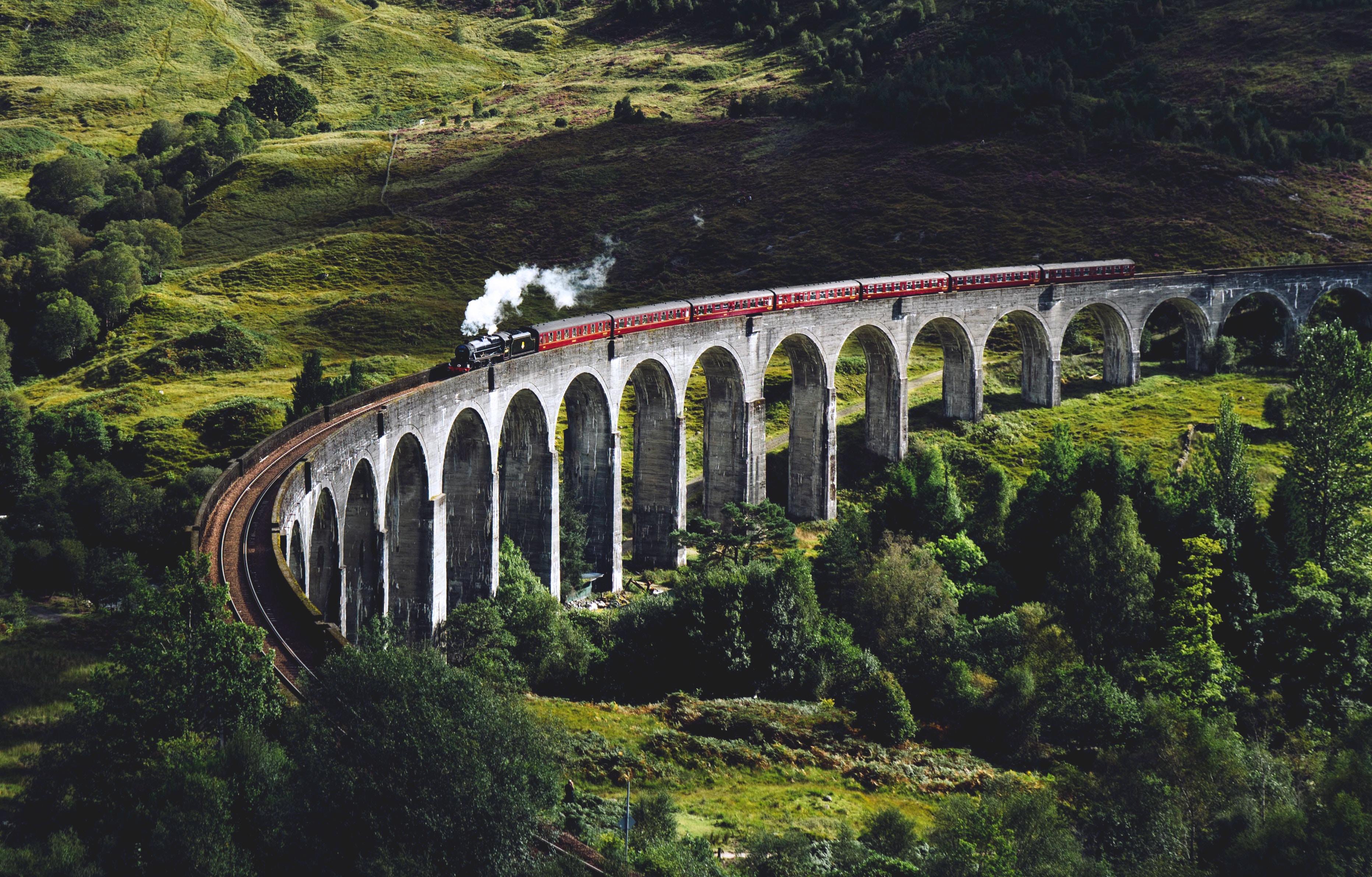 104818画像をダウンロード自然, 橋, 木, 列車, ブリッジ, 電車-壁紙とスクリーンセーバーを無料で