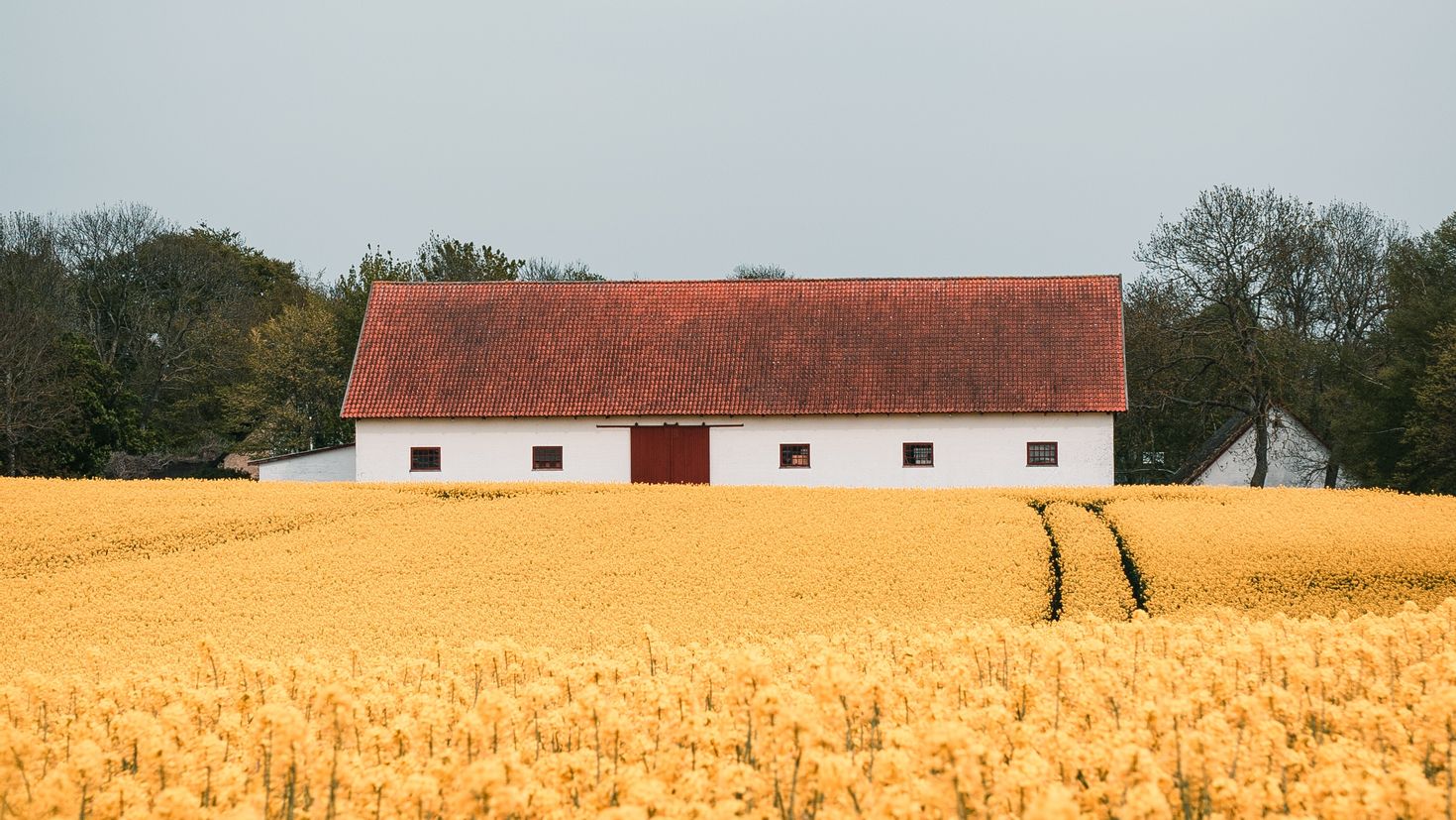 Build fields. Дом в поле. Здание в поле. Дом и поле банки. Field House 555 угловой.