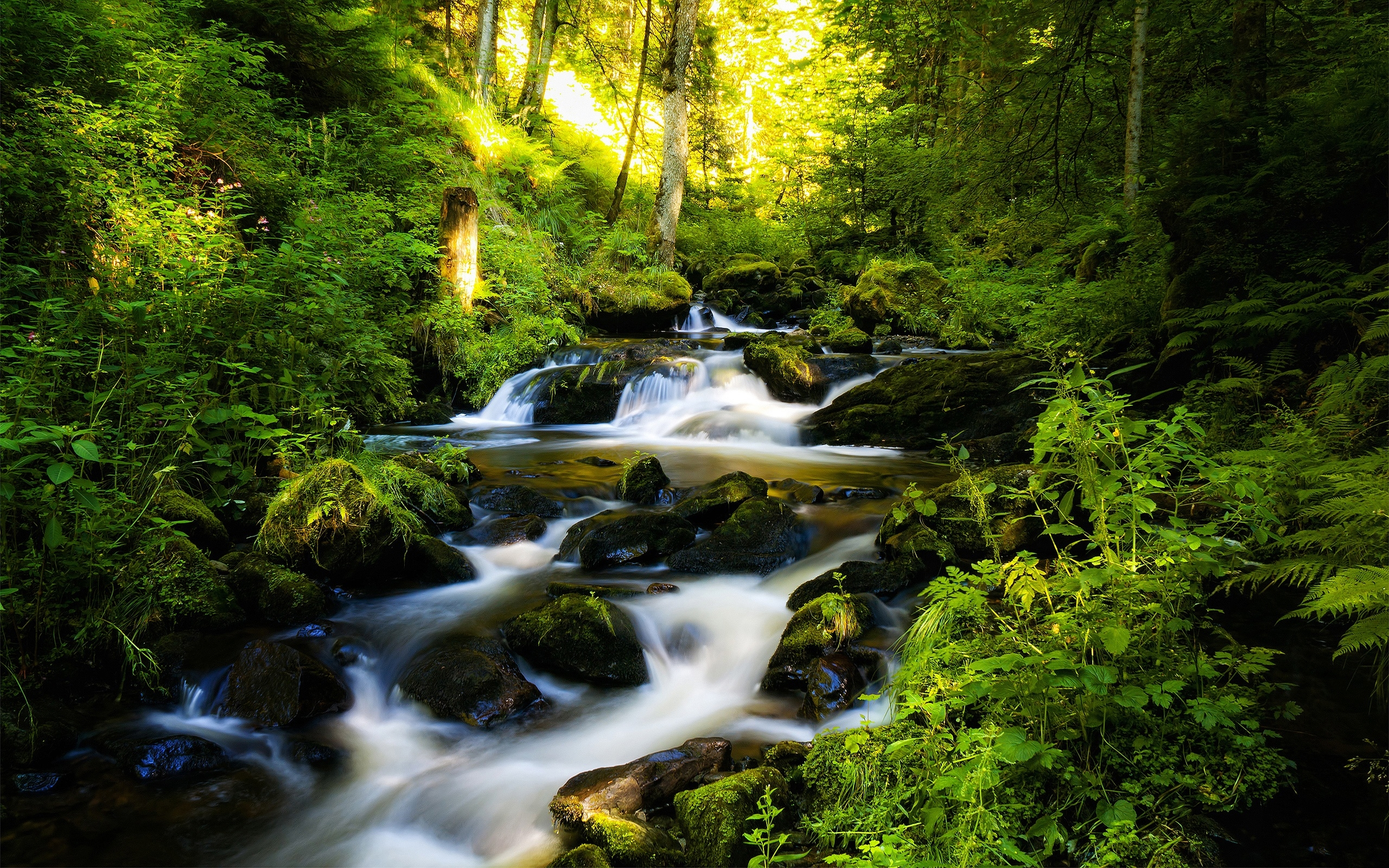 earth, stream, creek, forest, waterfall wallpapers for tablet