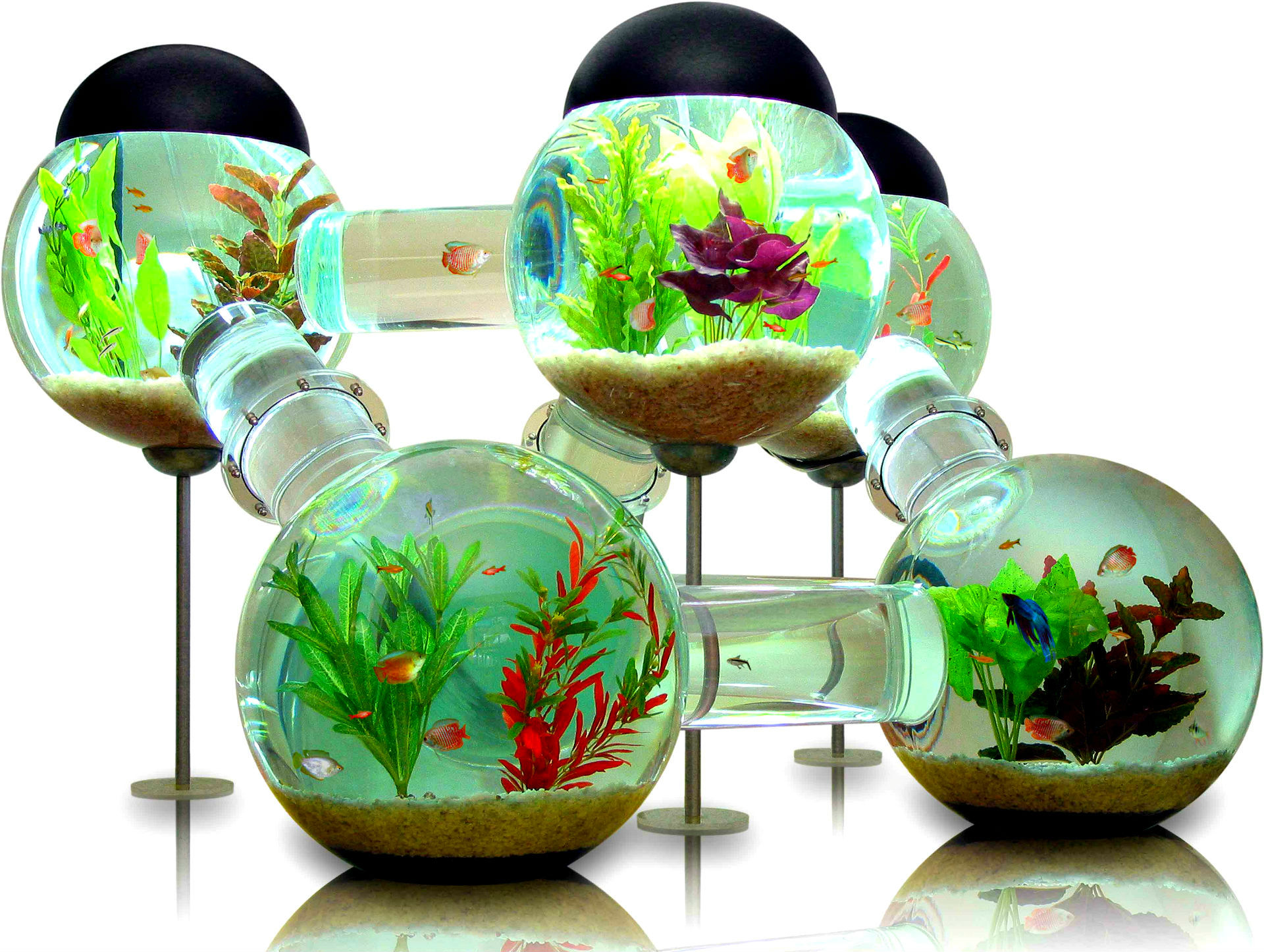 551014 завантажити шпалери створено людиною, акваріум, кольори, червоний, вода - заставки і картинки безкоштовно