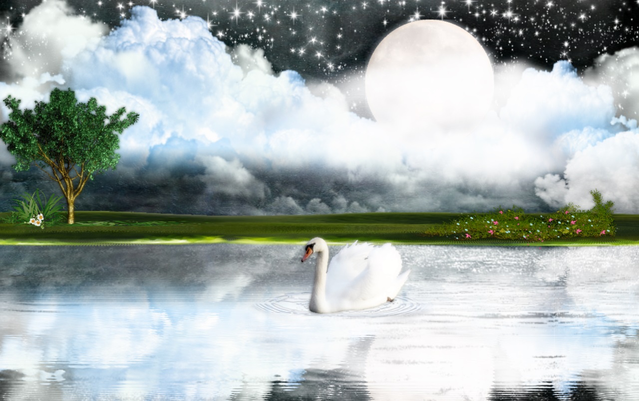Download mobile wallpaper Nature, Stars, Night, Swan, Artistic, Cloud for free.