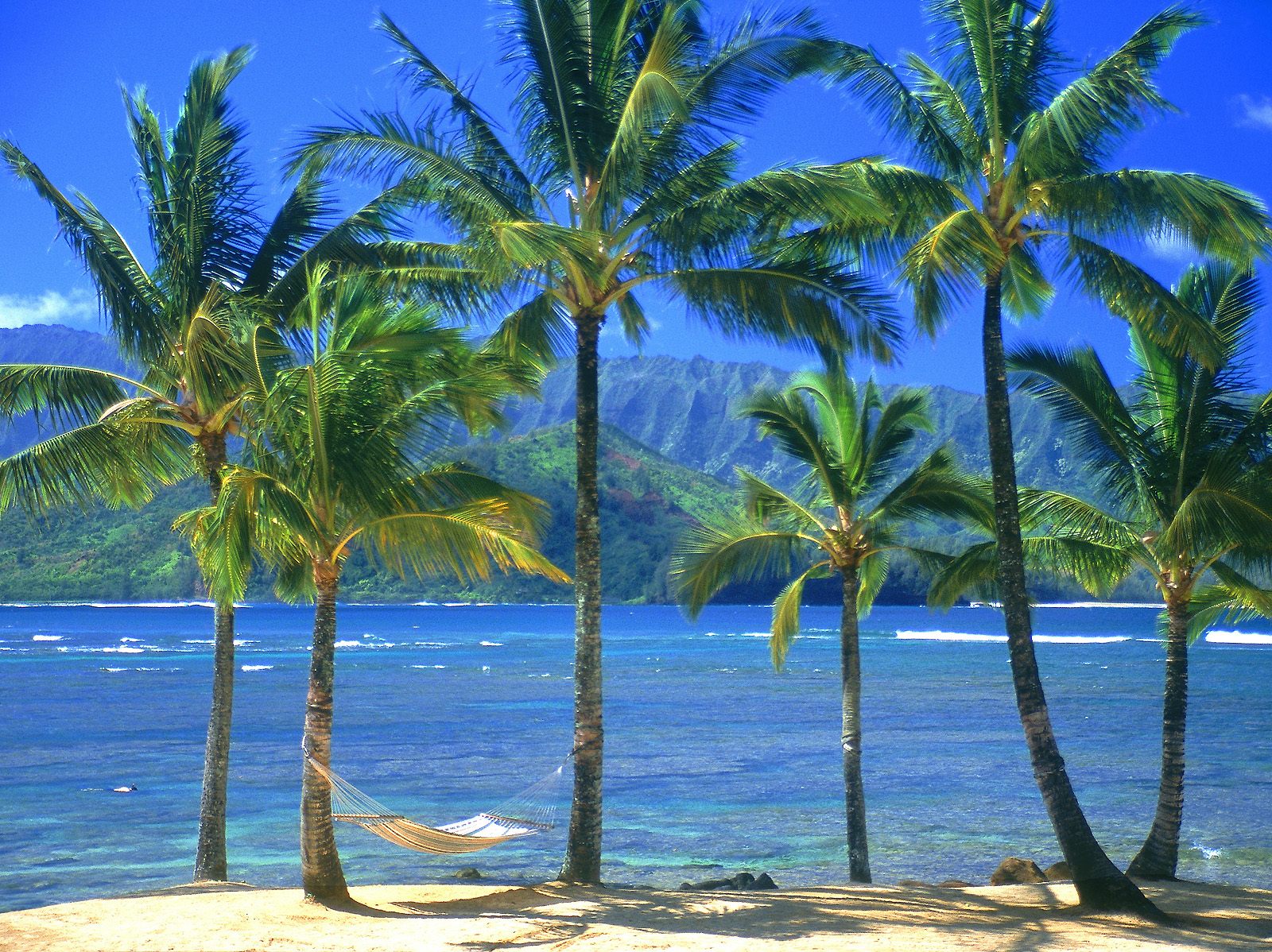 Море пальмы фото красивые