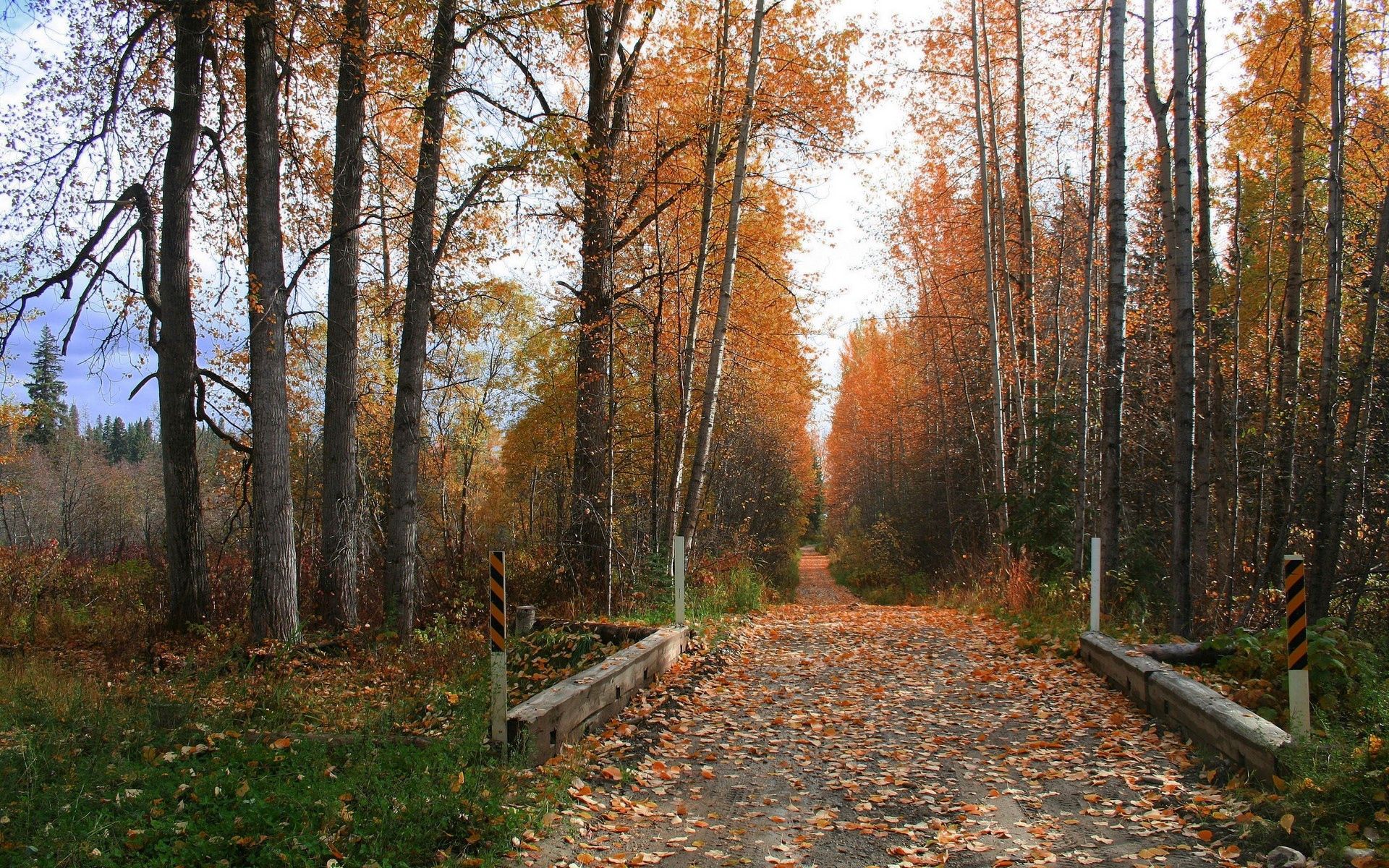 Free download wallpaper Road, Path, Trees, Nature, Autumn on your PC desktop