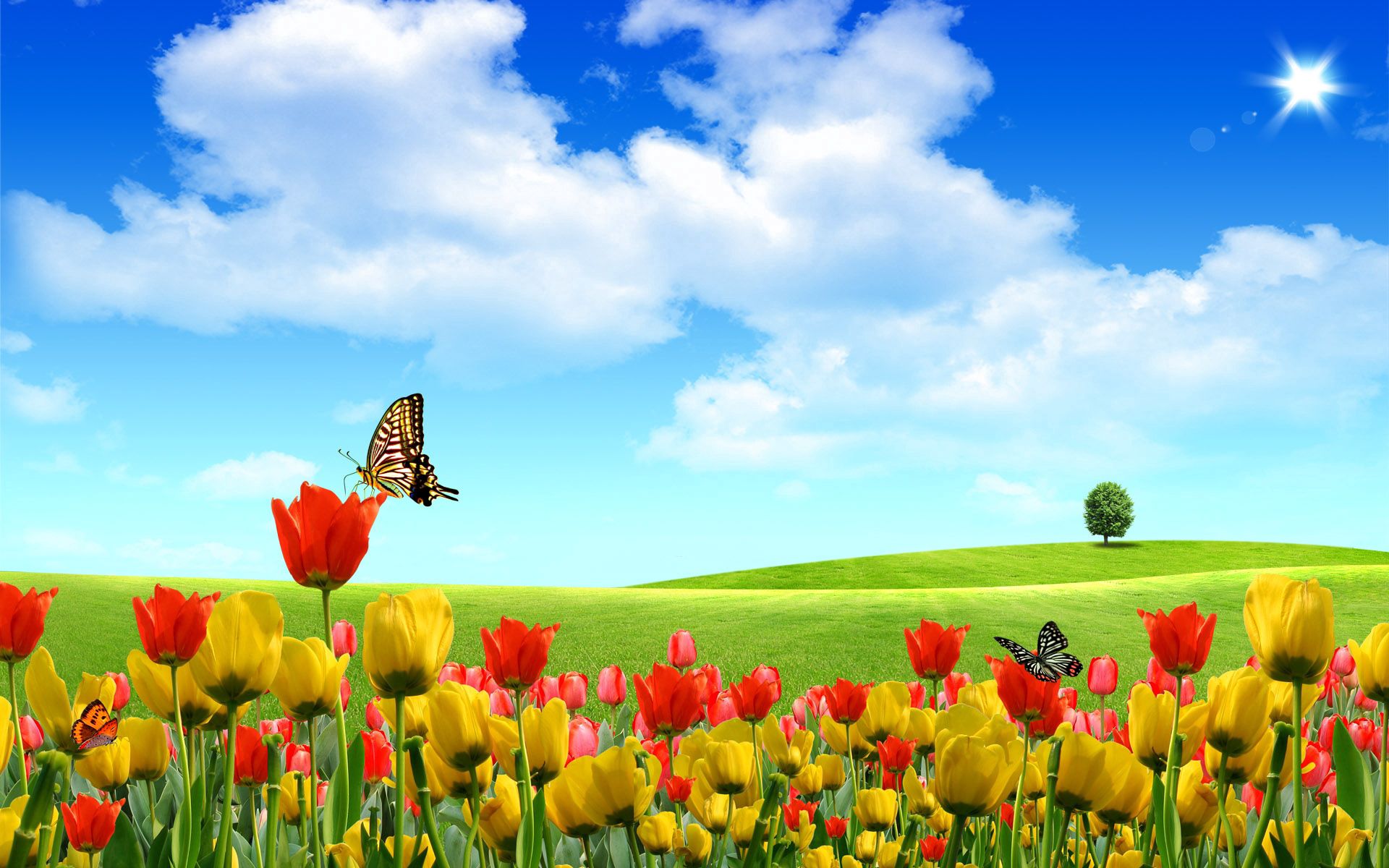 80462 télécharger le fond d'écran nuages, tulipes, vecteur, bois, arbre, sérénité - économiseurs d'écran et images gratuitement