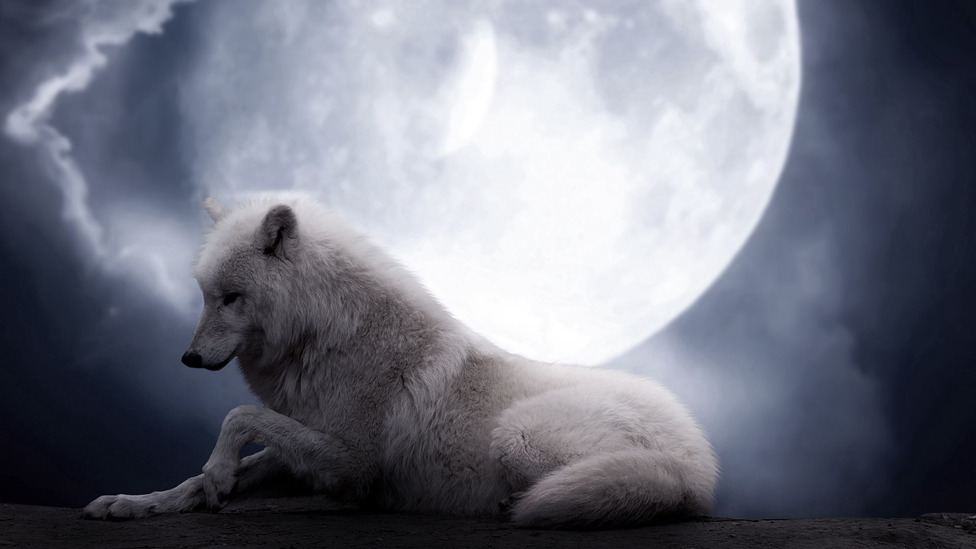 免费下载动物, 狼, 月球, 捕食者, 躺下, 躺下来手机壁纸。