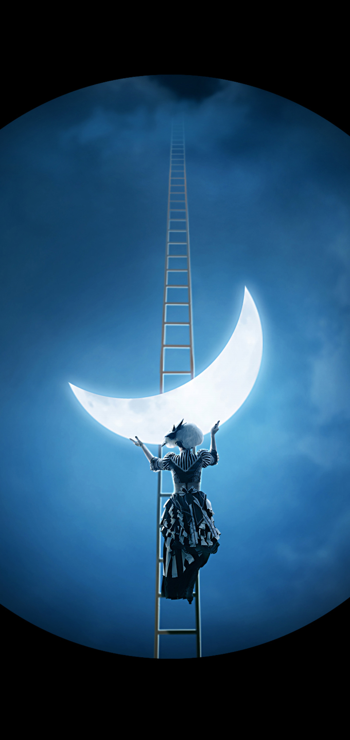 artistic, moon, crescent, ladder HD wallpaper
