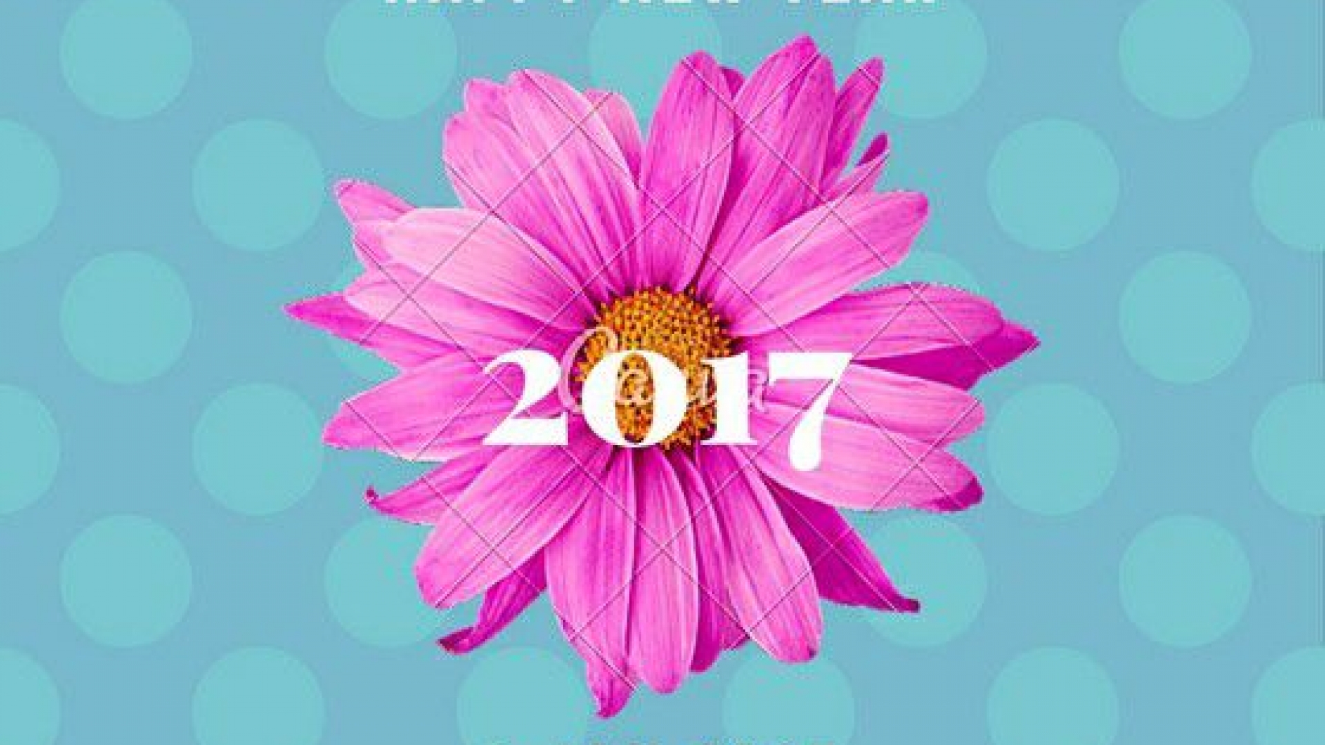 1502232 免費下載壁紙 节日, 2017年元旦, 花, 假期, 新年, 粉色的 屏保和圖片