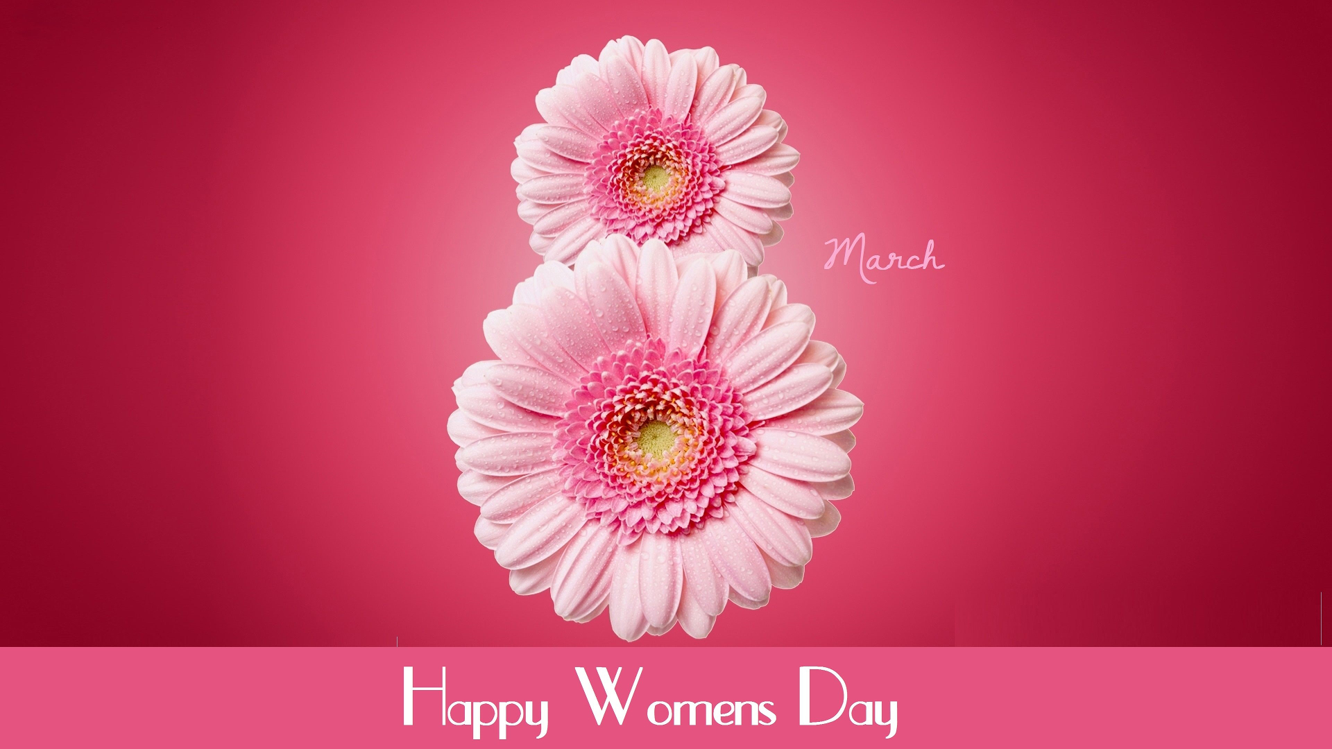 Happy Womens Day, pink, womens day, HD wallpaper