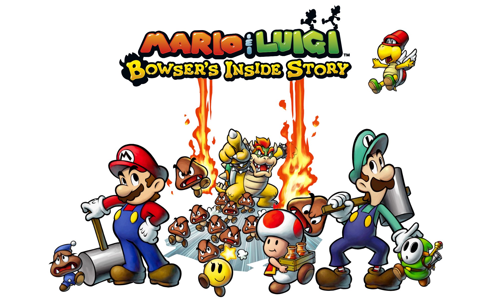 Mario and Luigi Bowser's inside story