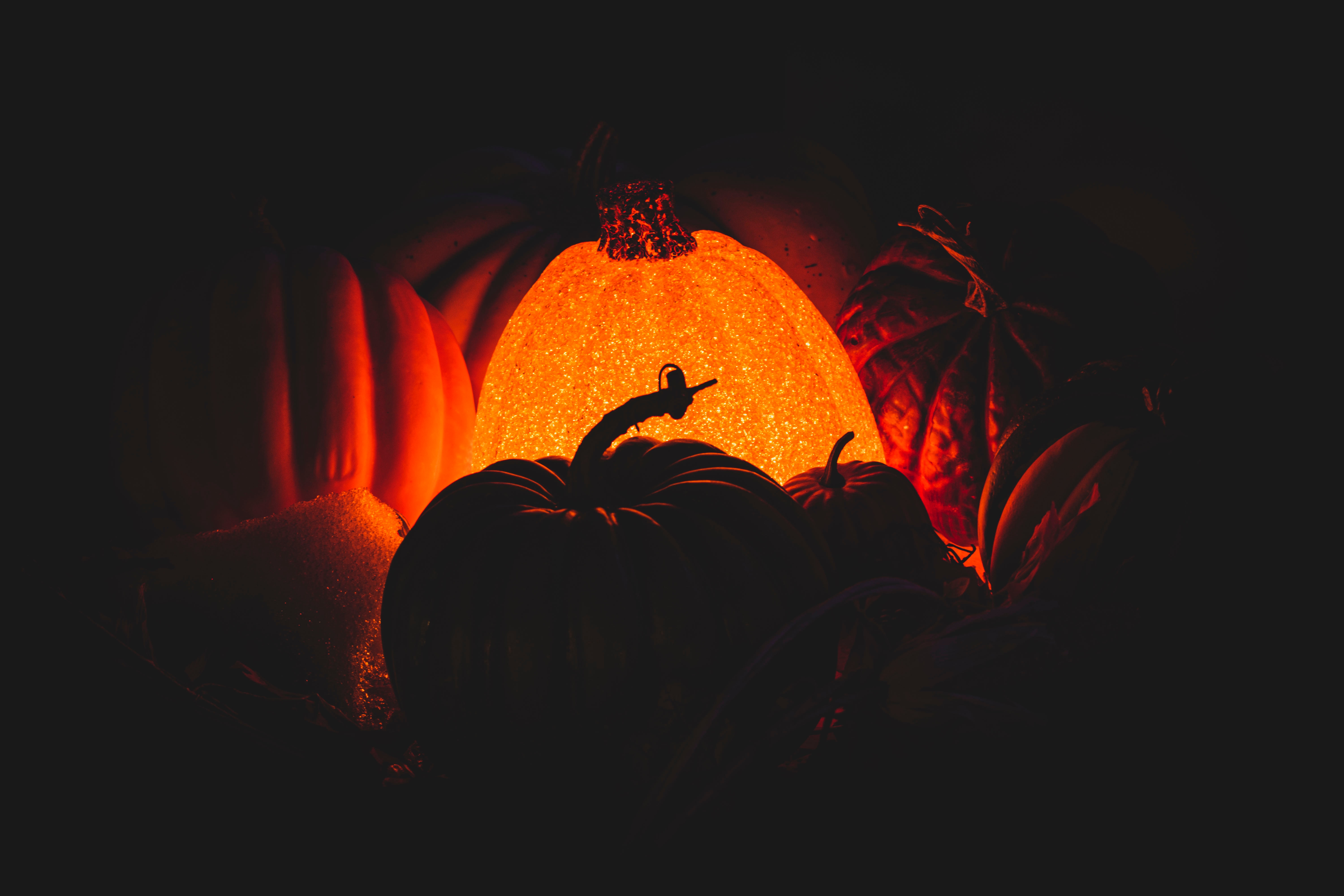 pumpkin, dark, darkness, glow 8K