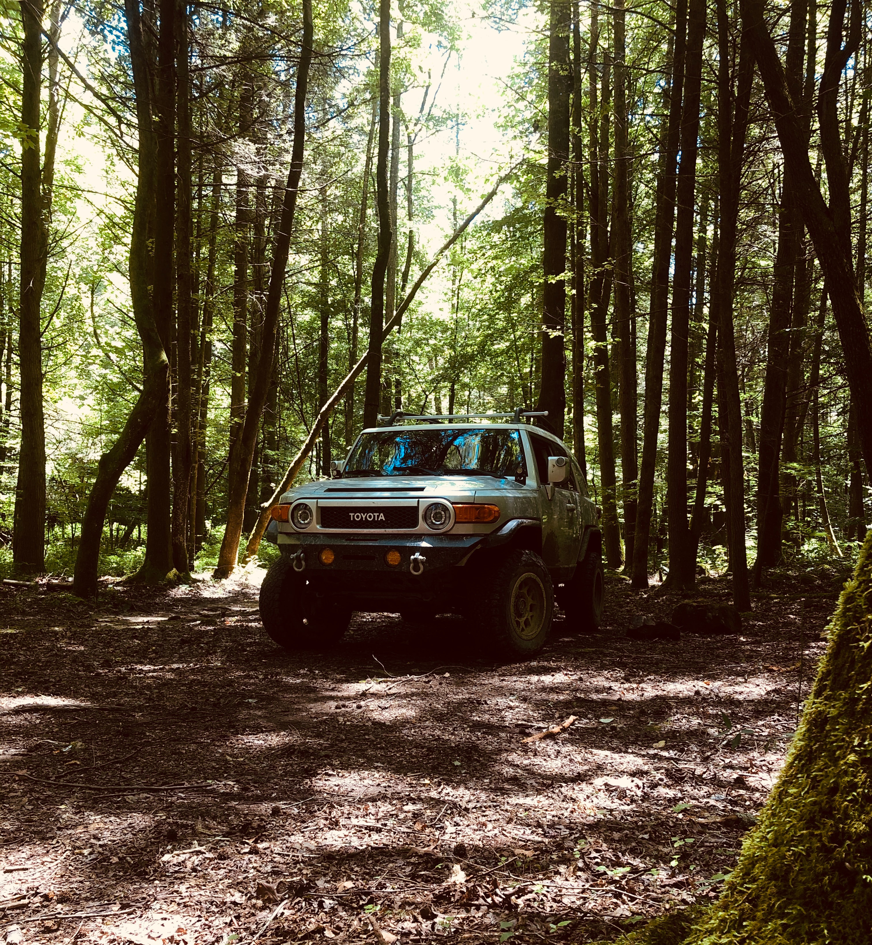 vertical wallpaper toyota, jeep, cars, forest, suv, front view