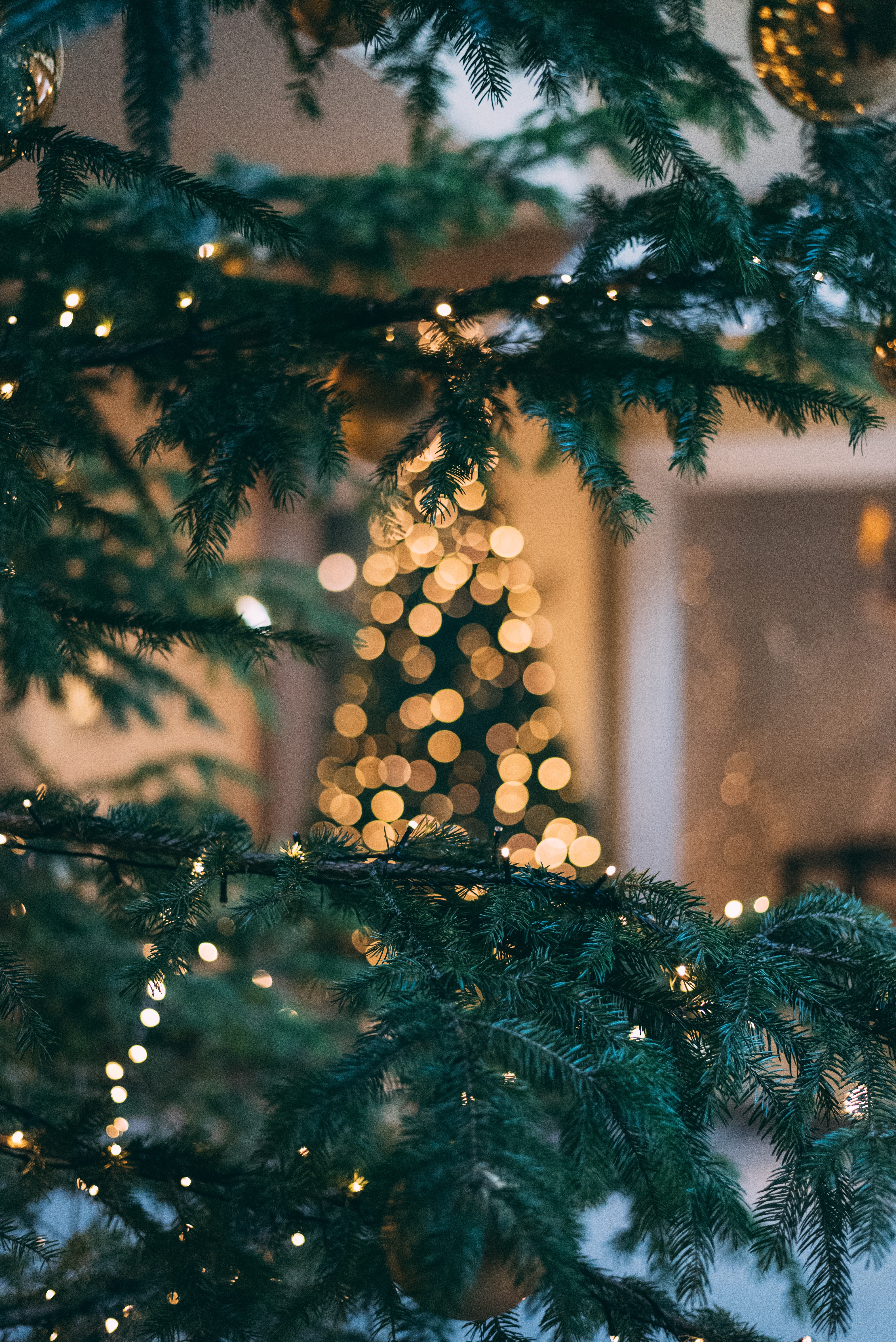 117189 Hintergrundbild herunterladen feiertage, neujahr, weihnachten, blendung, neues jahr, ast, zweig, fichte, fir, weihnachtsbaum, bokeh, boquet - Bildschirmschoner und Bilder kostenlos