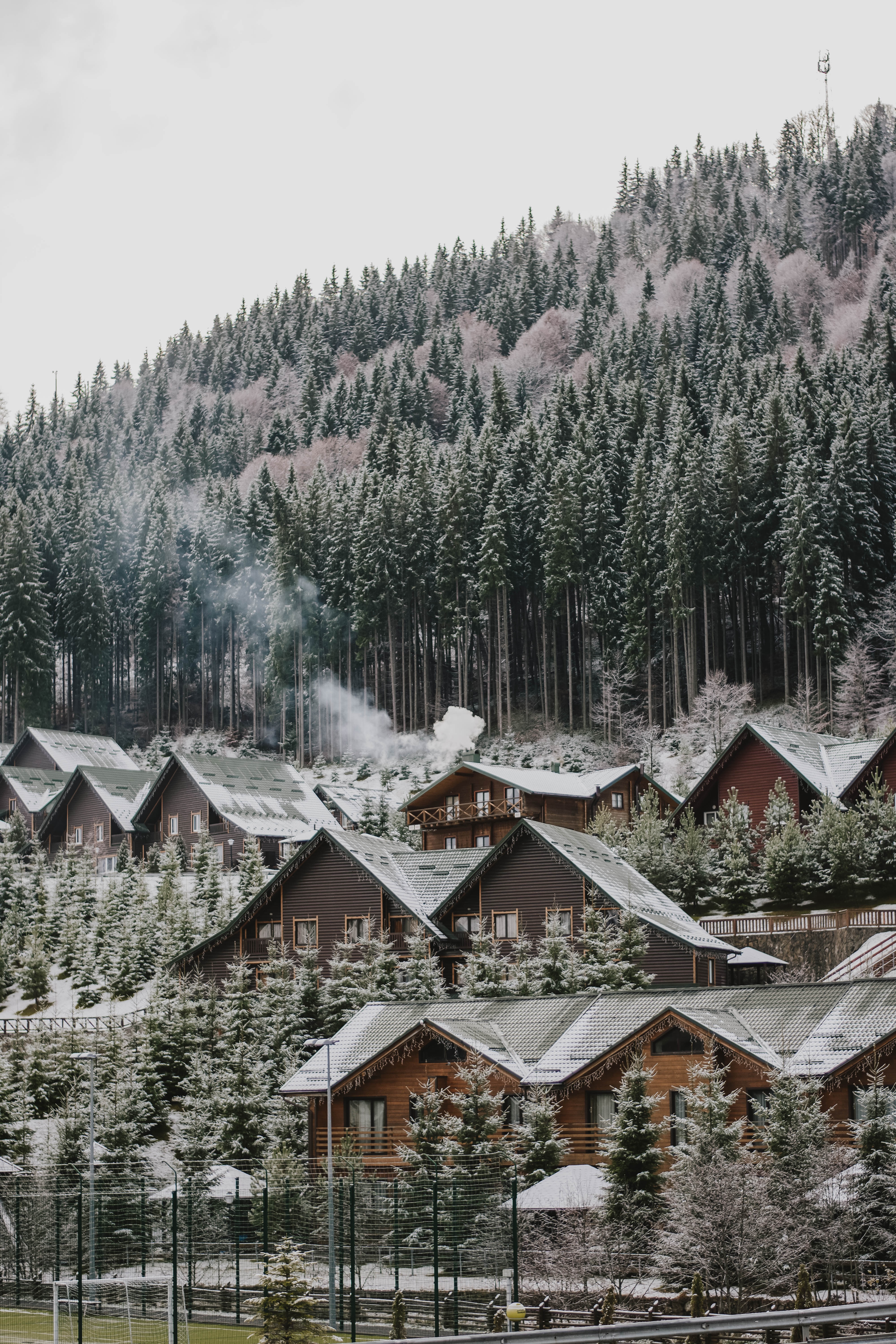 forest, nature, winter, houses, snow, slope