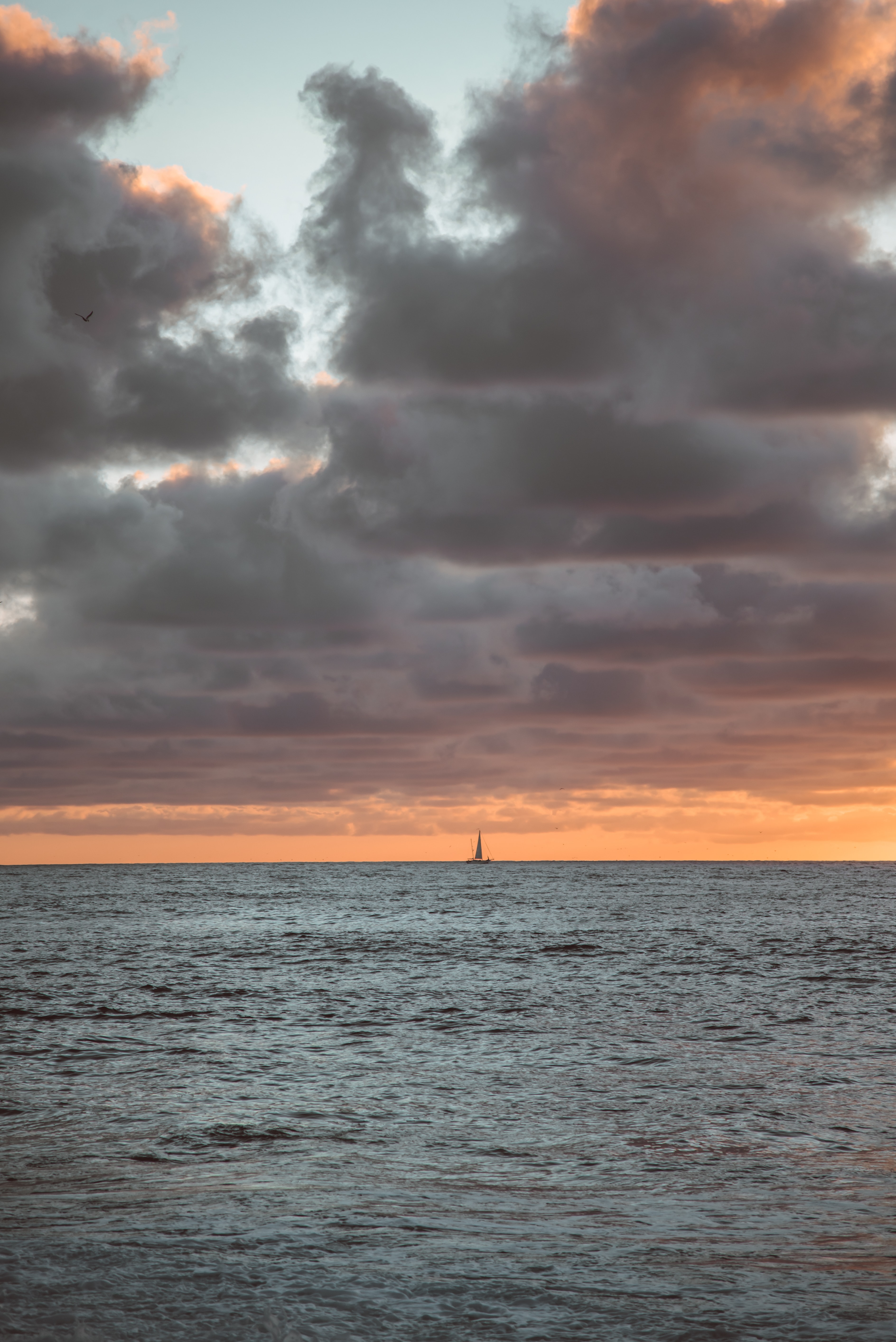 Handy-Wallpaper Horizont, Sailfish, Natur, Sea, Segelboot kostenlos herunterladen.