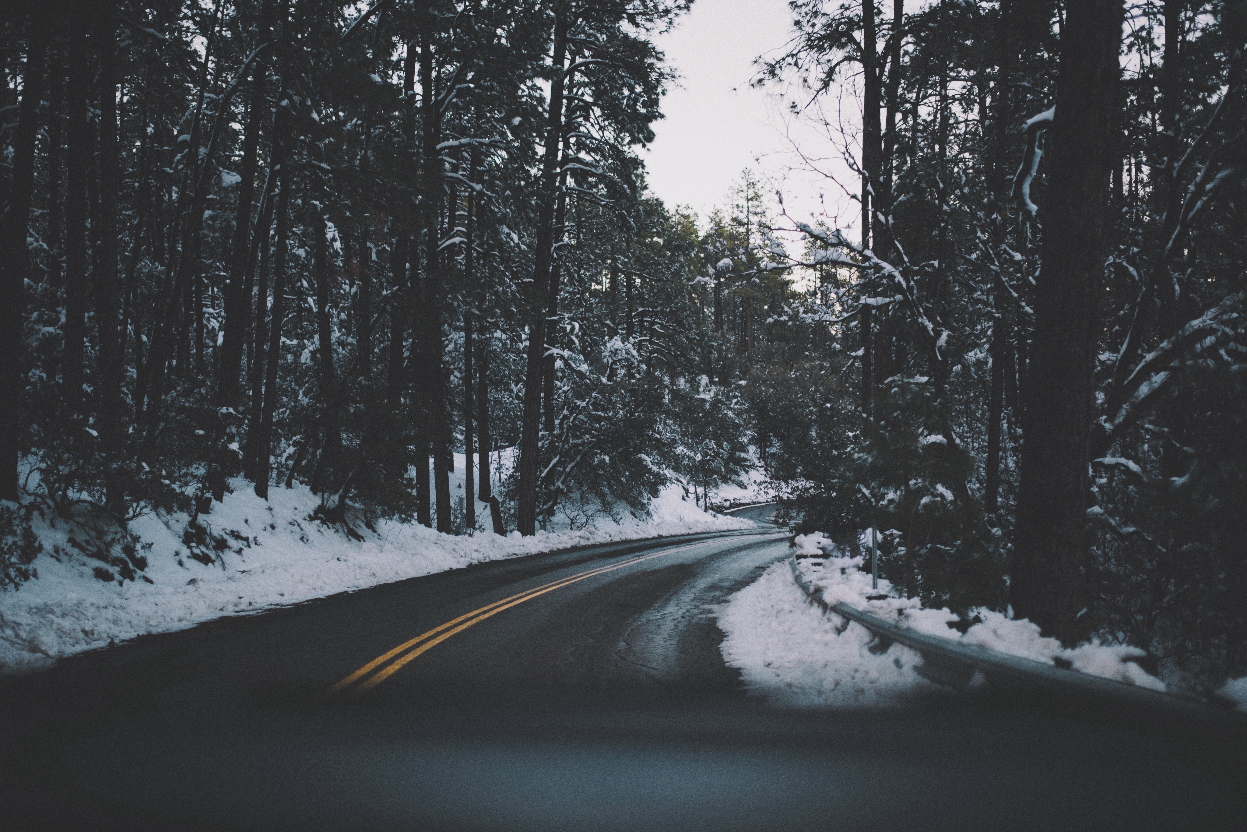 77374 скачать картинку поворот, природа, снег, деревья, дорога, асфальт - обои и заставки бесплатно